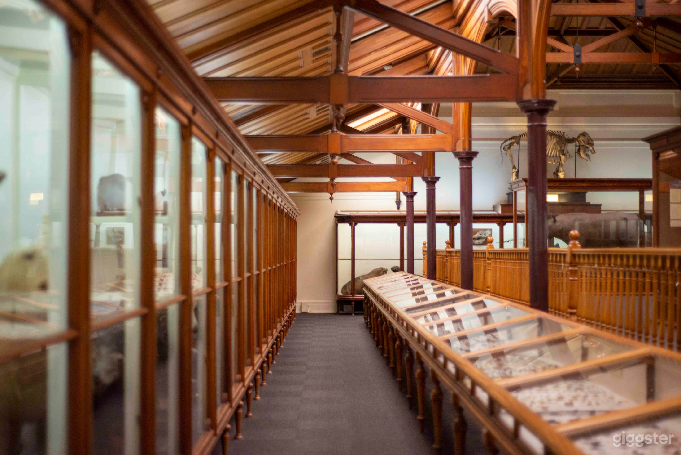 Animal Attic Museum Photo 2