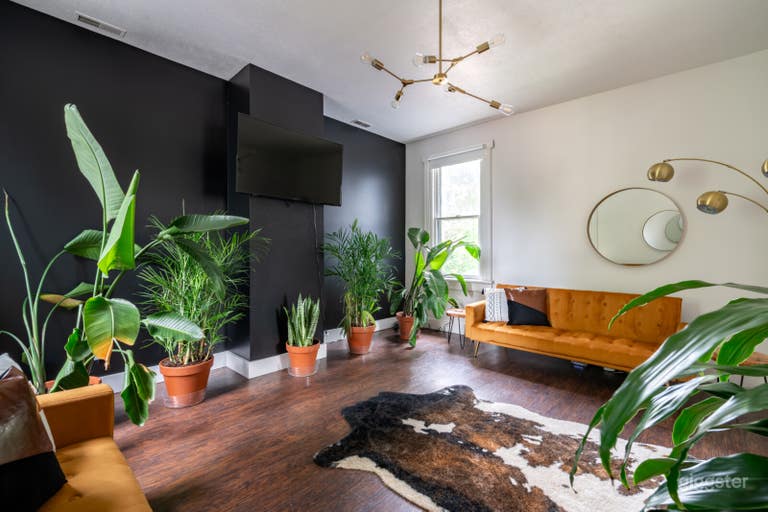  Jungle Thyme (Upstairs), NEW LUXE HOME PET FRIENDLY 