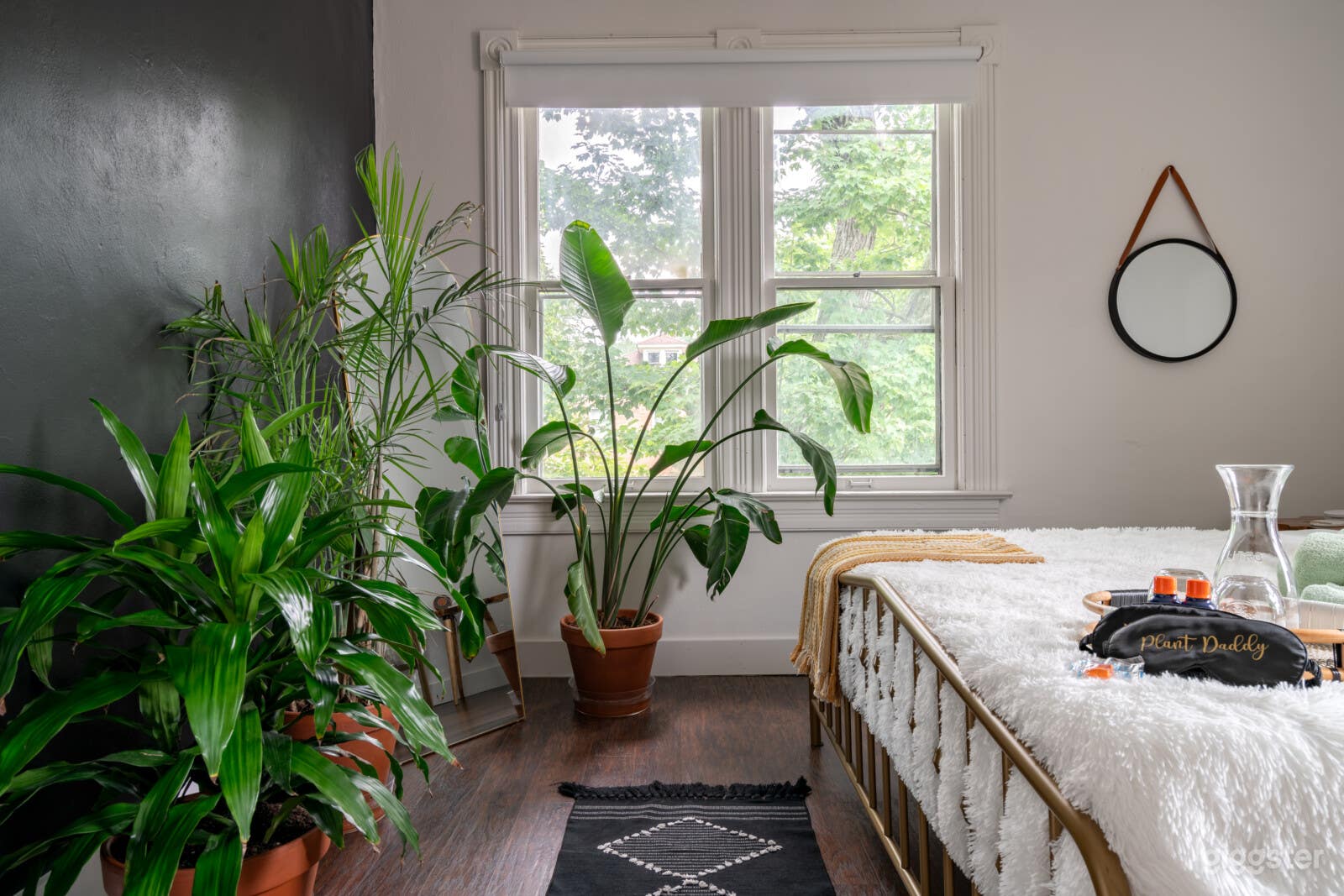 Jungle Thyme (Upstairs), NEW LUXE HOME PET FRIENDLY Photo 2