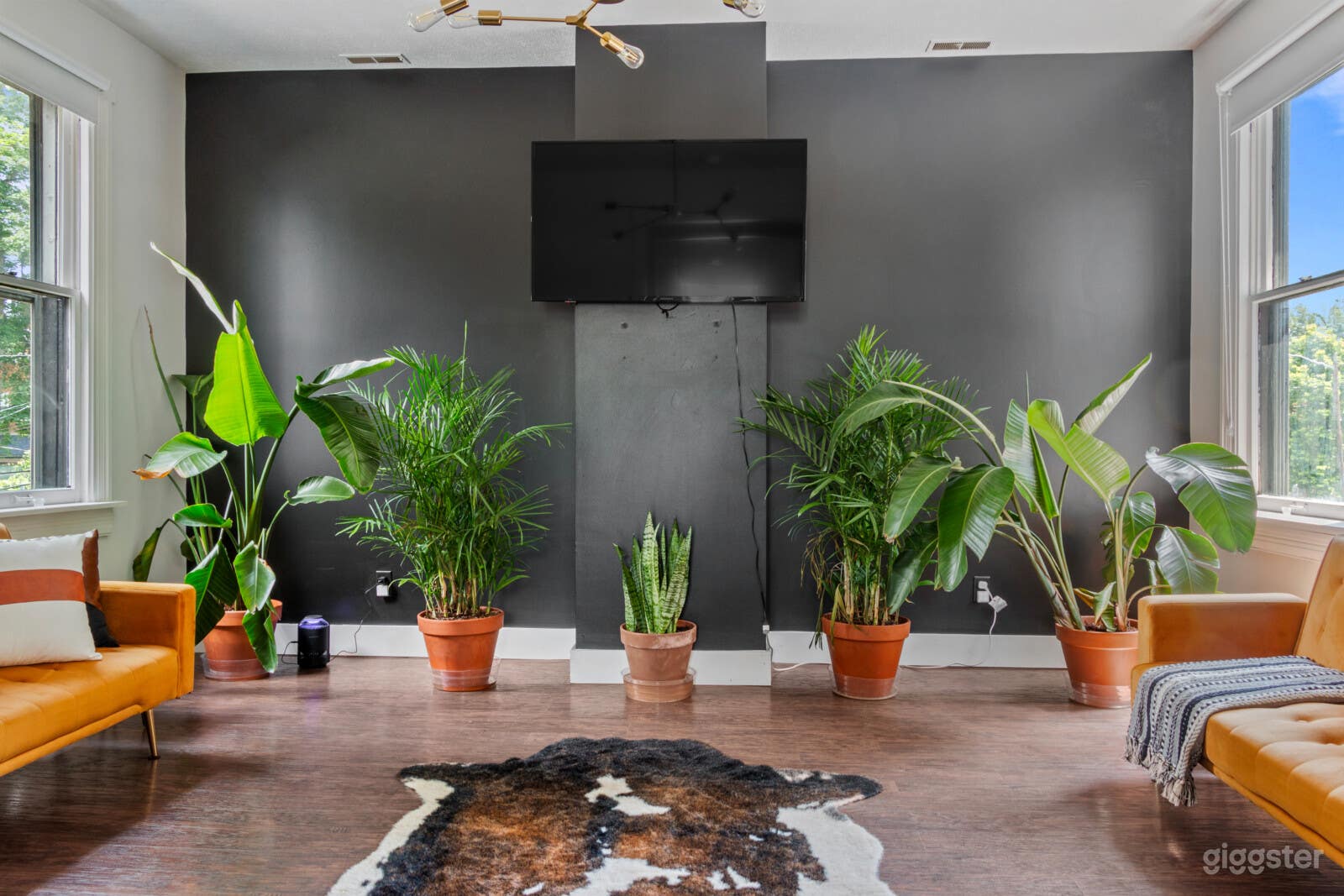 Jungle Thyme (Upstairs), NEW LUXE HOME PET FRIENDLY Photo 4