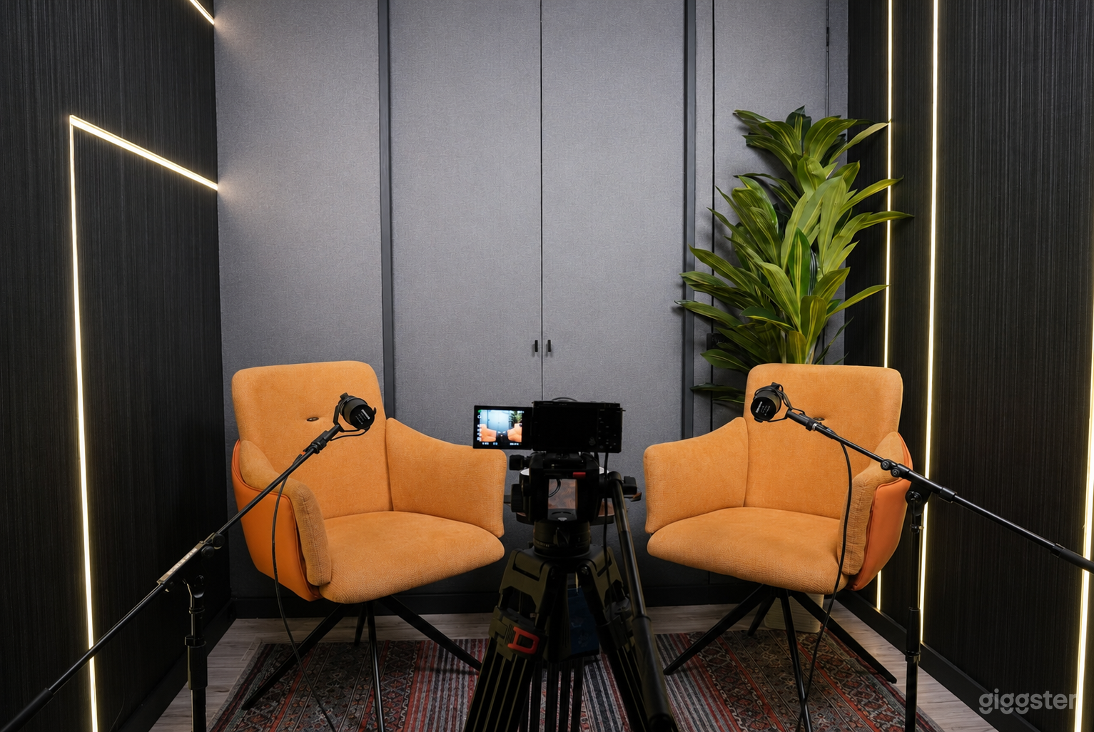 Professional Podcast & Interview Room Photo 1