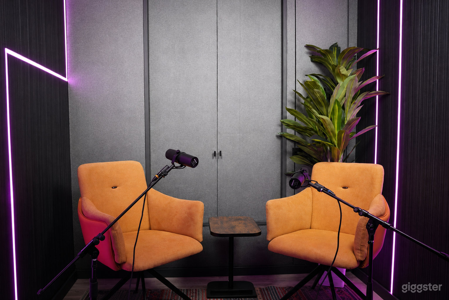 Professional Podcast & Interview Room Photo 3