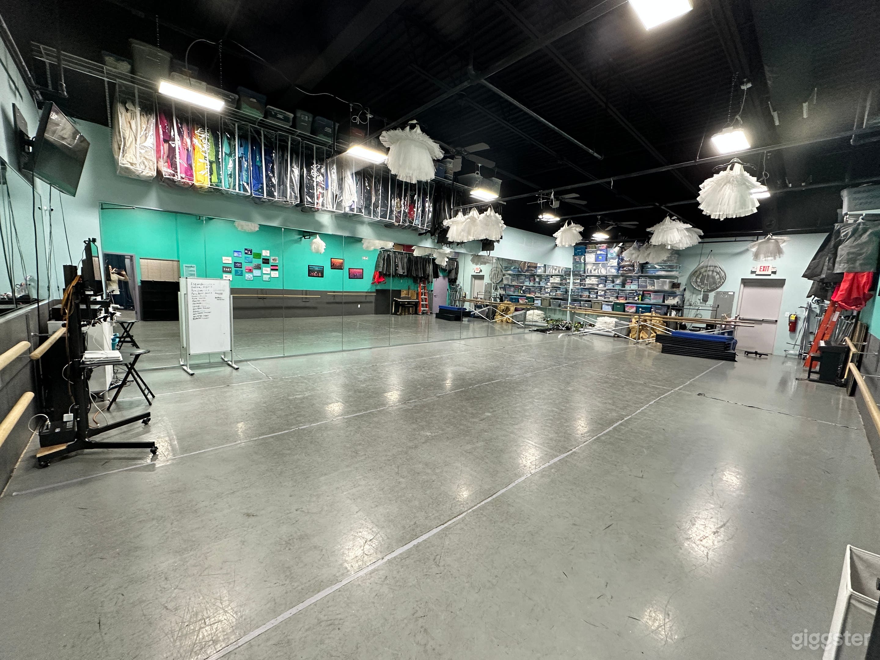 view from entrance door (L)