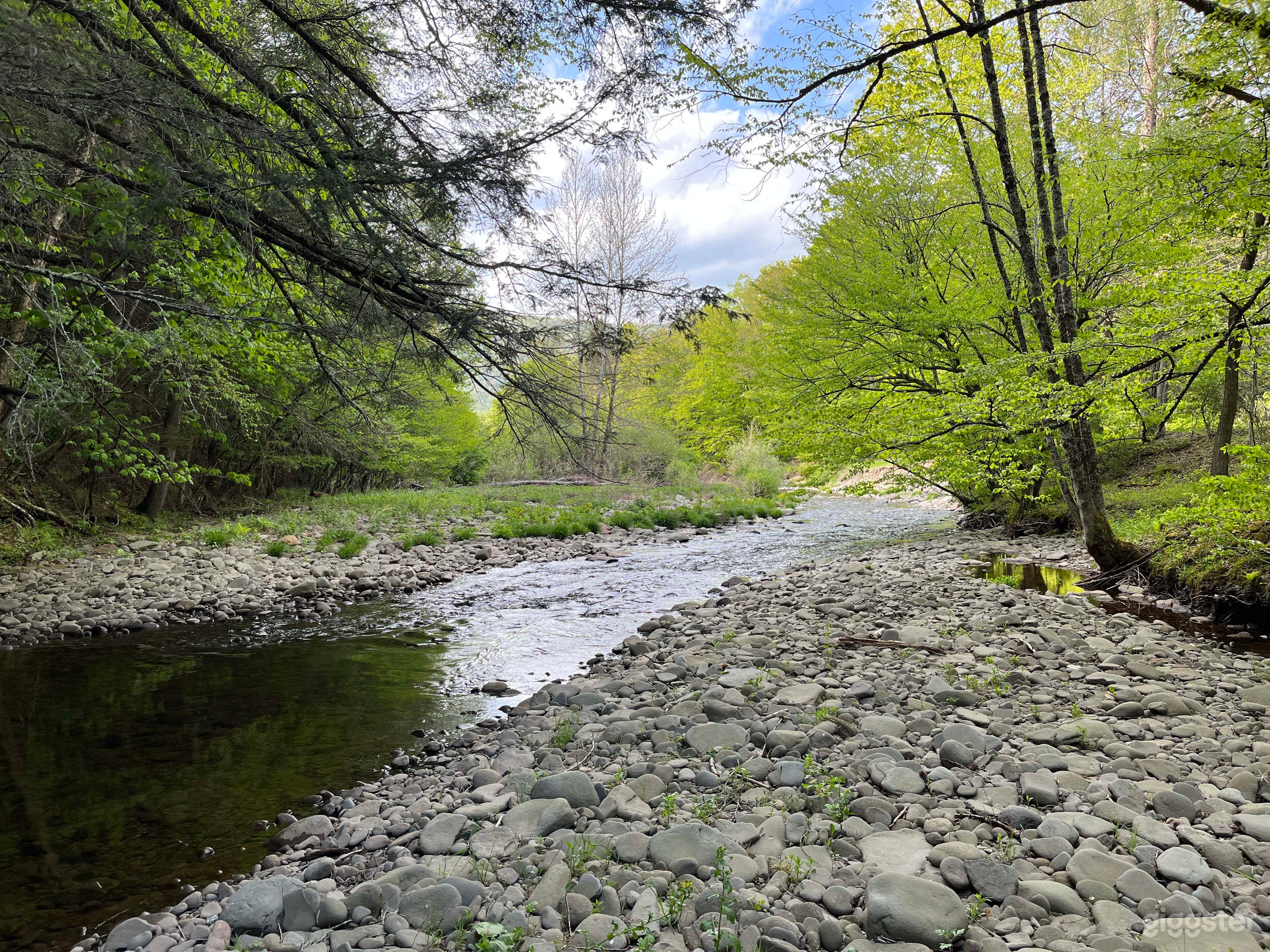 Catskills A-Frame Cabin With Big Yard and Stream  Photo 3