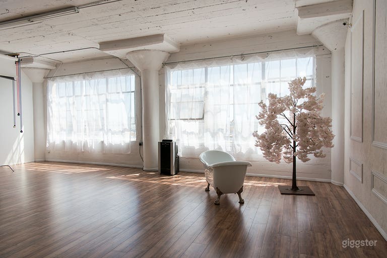  Artistic Space With Rose Wall  