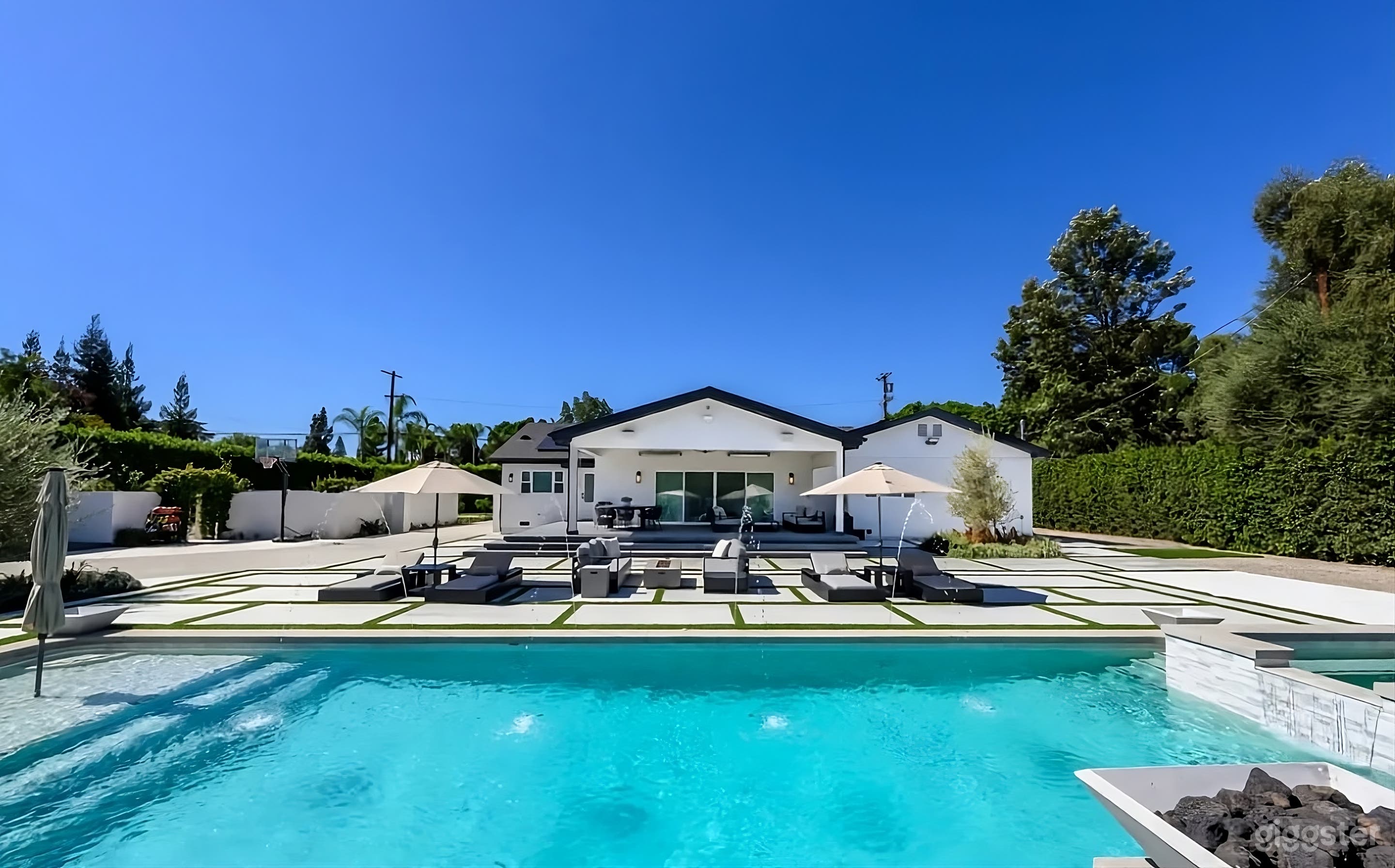 Luxurious Modern Dream Backyard Photo 4