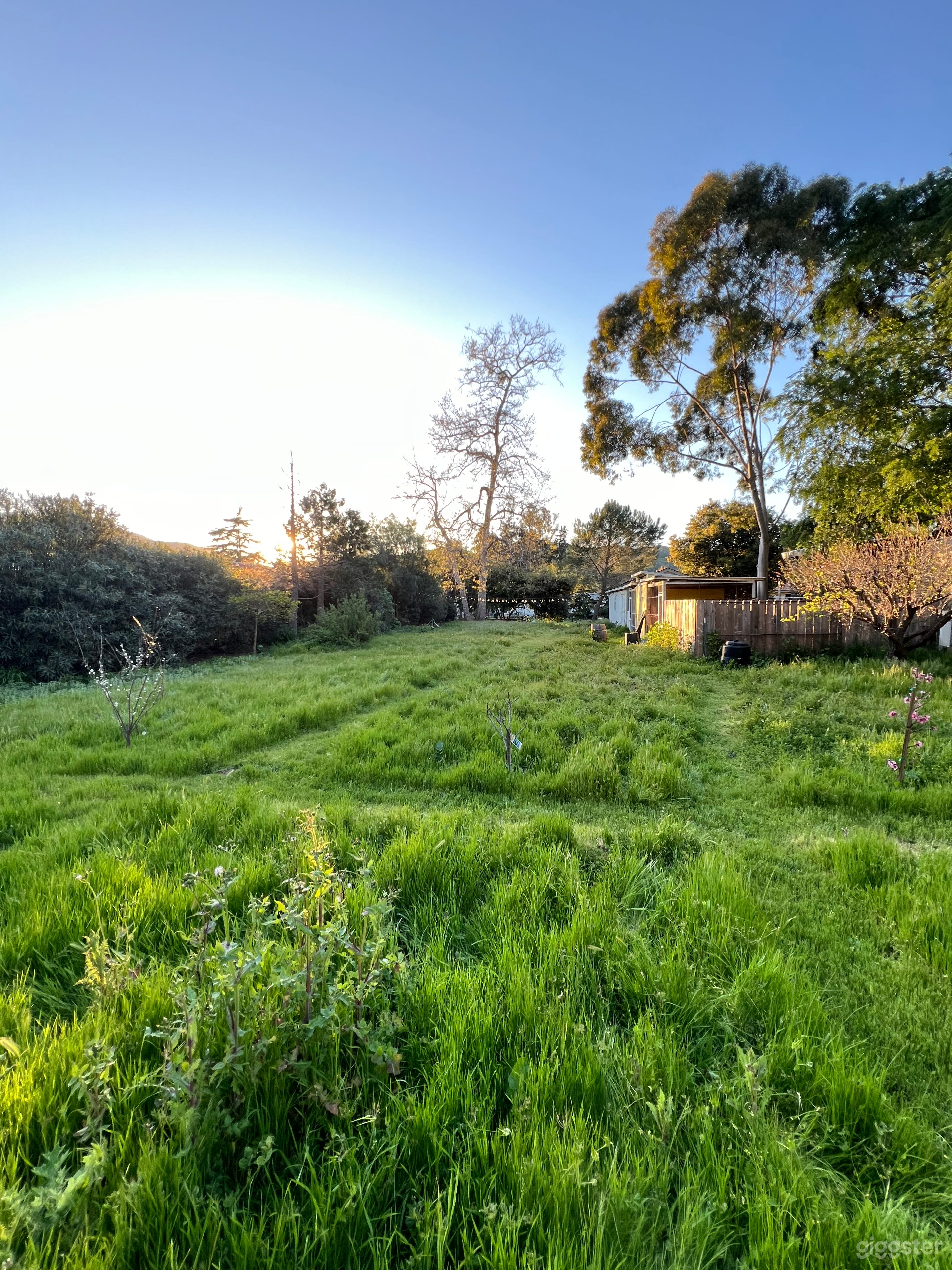 Very back of our property.