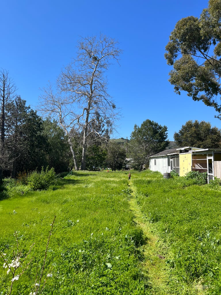  Farm style property on .75 of an acre 