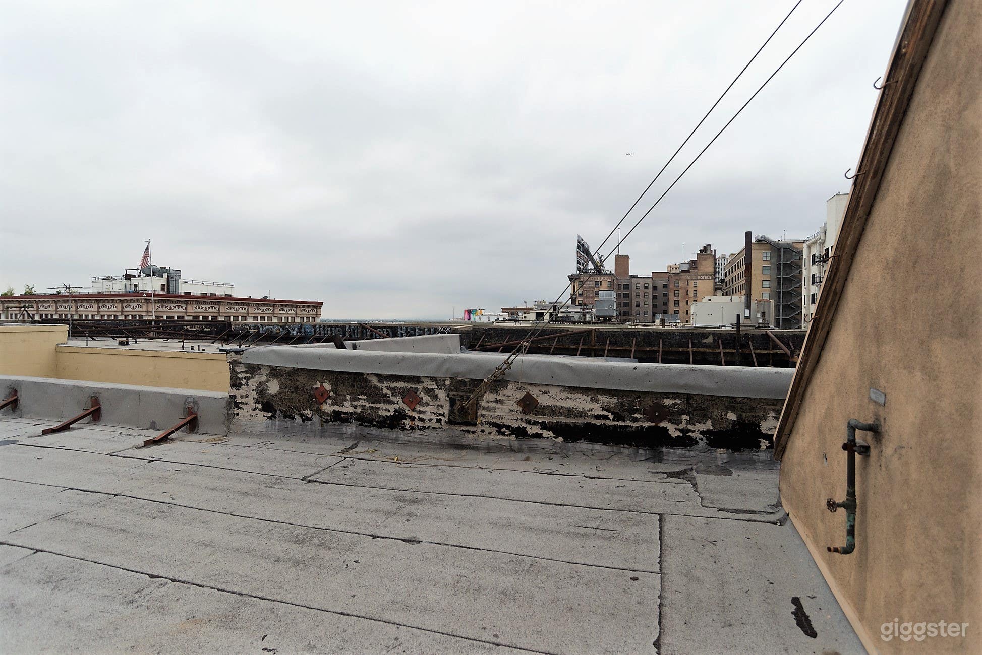 Paradise Alley Photo 4