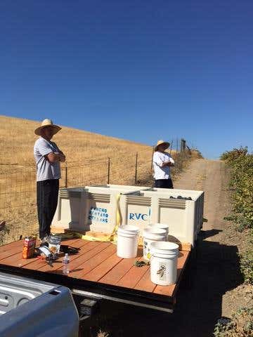  Boutique Speakeasy Winery & Wine Tasting Room 