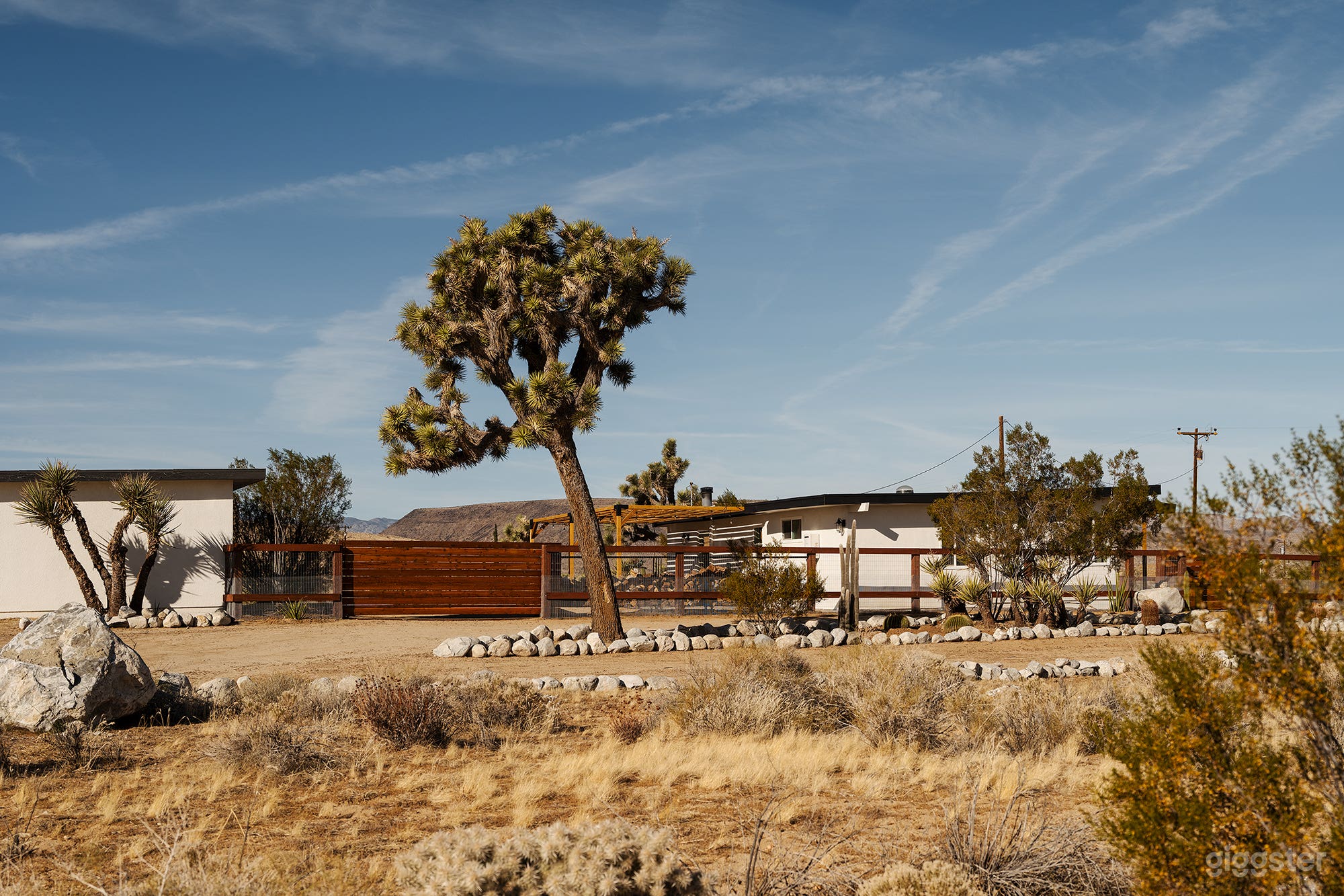 Desert Mid Century Ranch House on 3 acres Photo 1