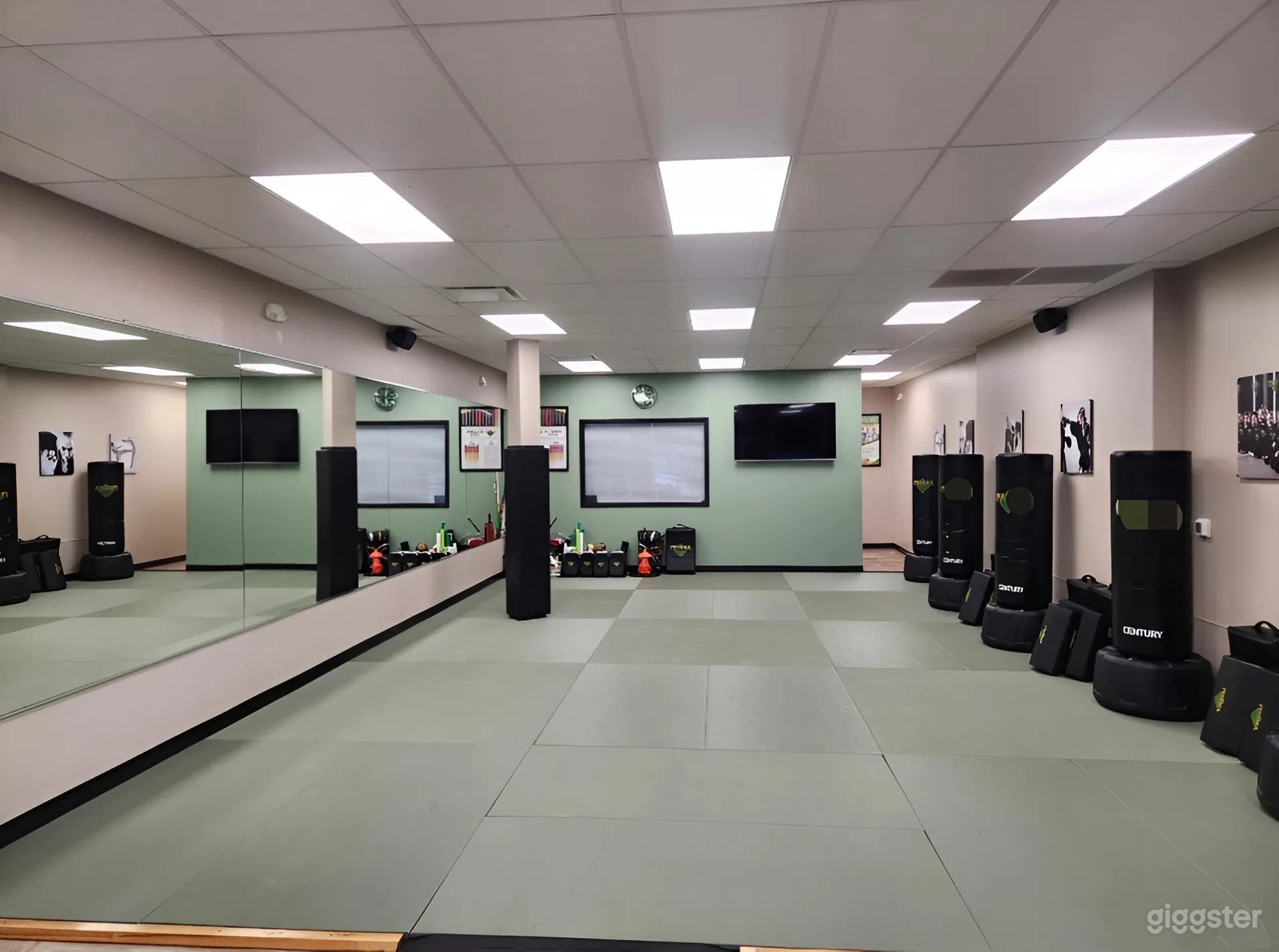 Immaculate Yoga/Meditation/Kickboxing Studio with Mirrors Photo 3