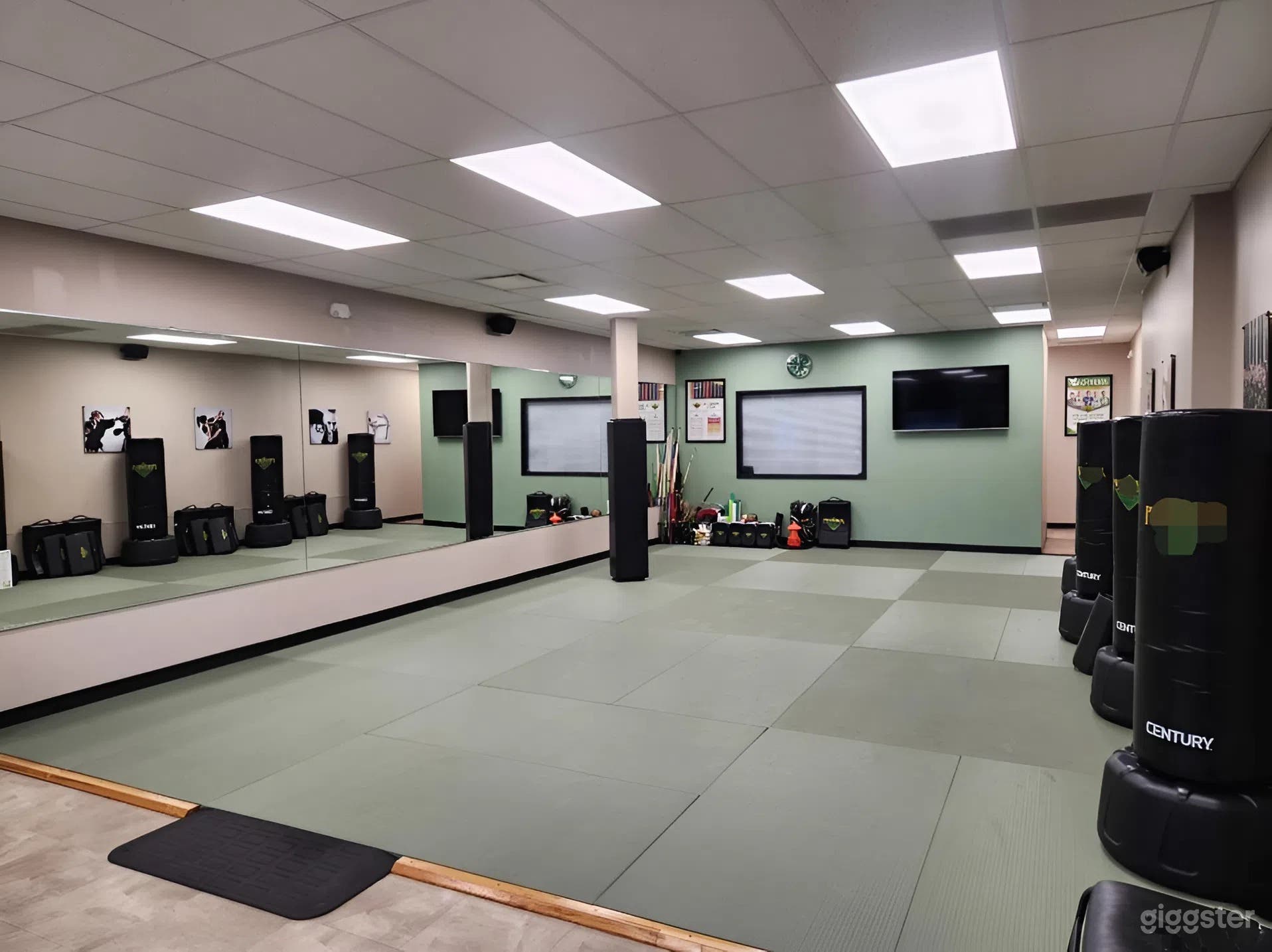 Immaculate Yoga/Meditation/Kickboxing Studio with Mirrors Photo 2