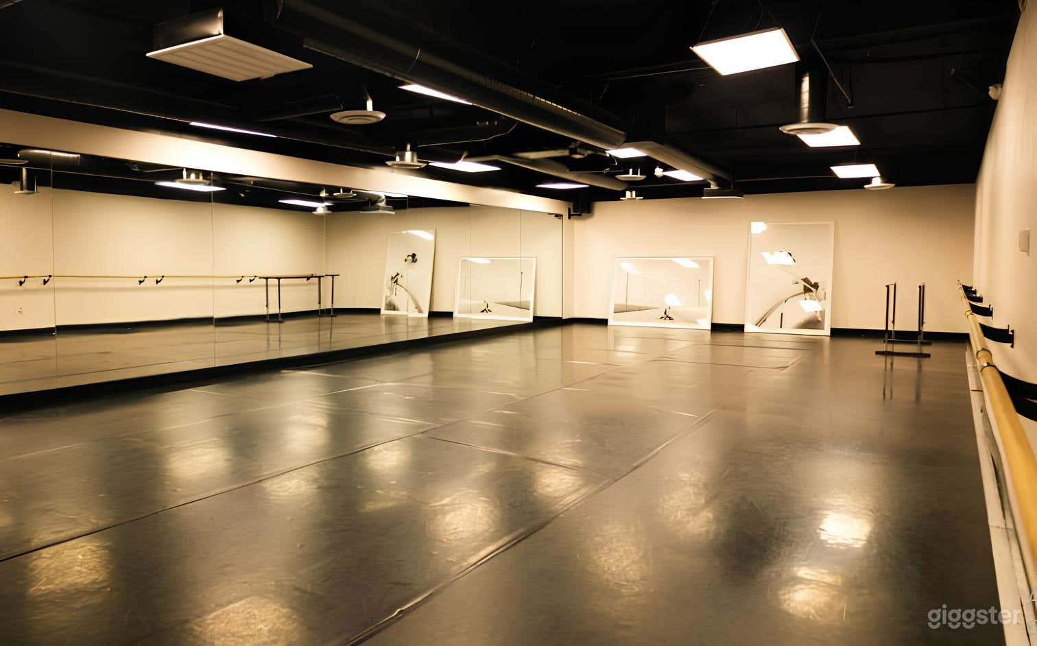 Versatile Studio Complex with Studios (Buyout) Photo 3