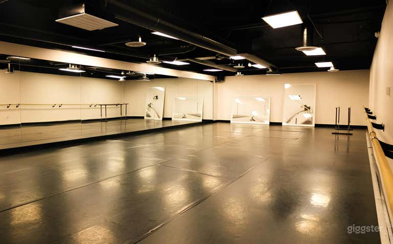  Versatile Studio Complex with Studios (Buyout) 