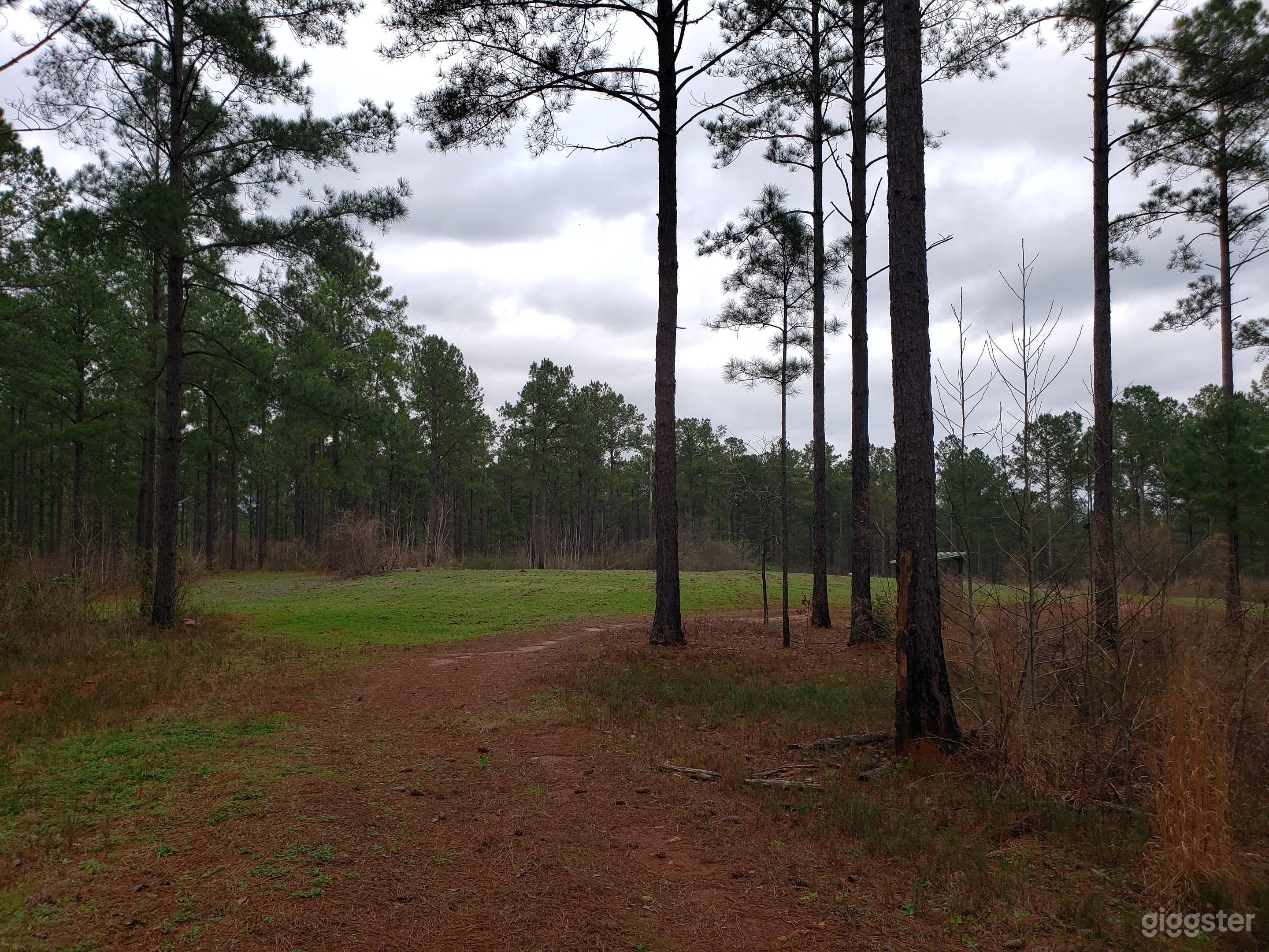 Large opening of the forest, secluded.