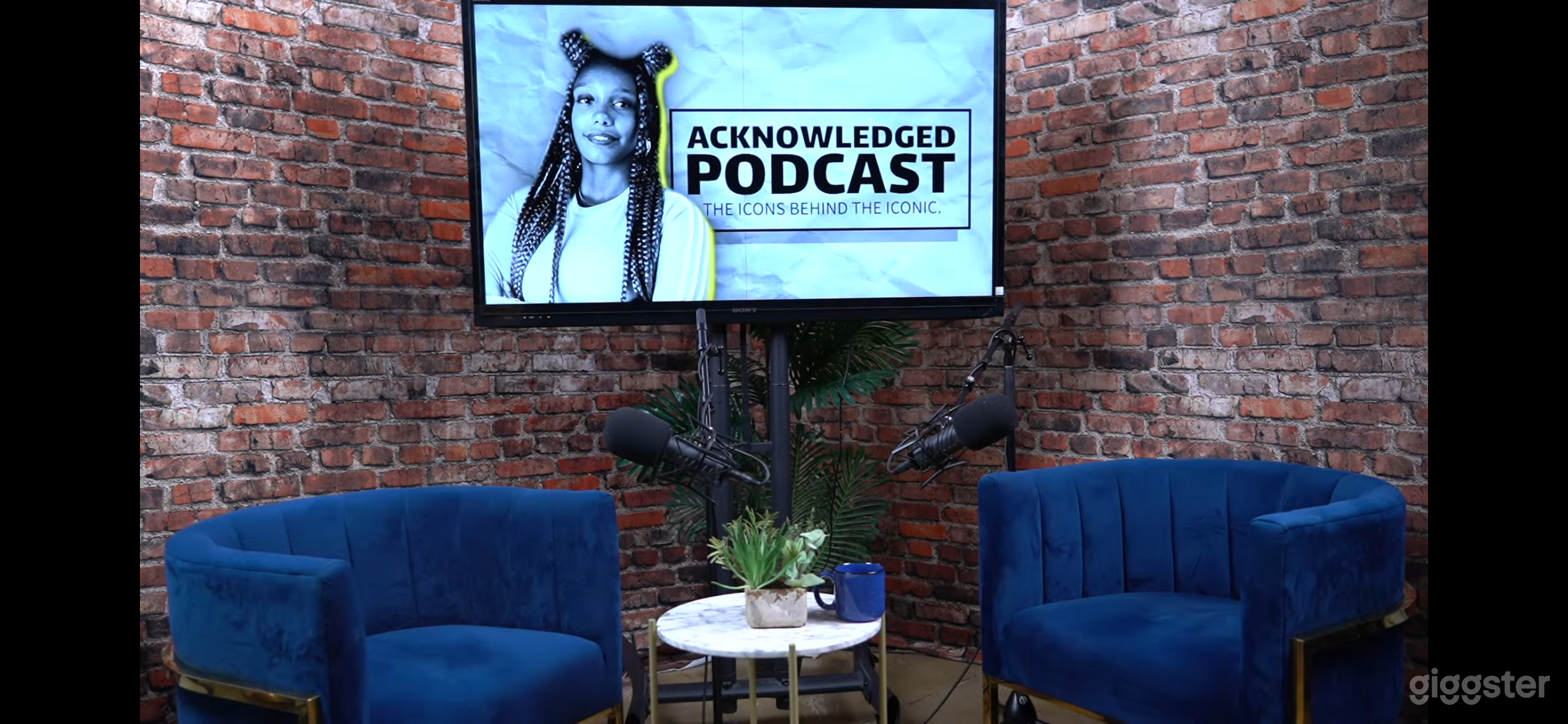 Professional Video Studio - Podcast, Webinar, Live Photo 2