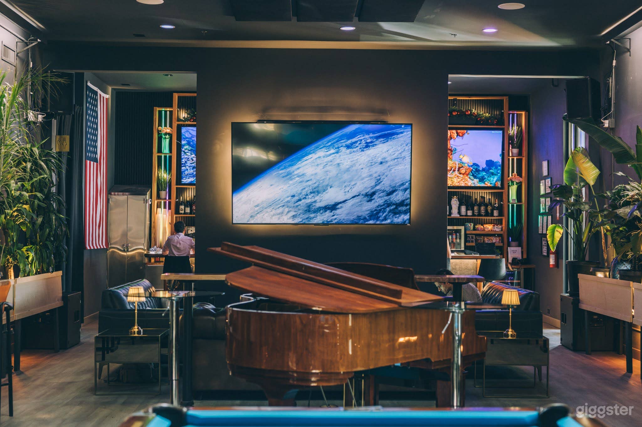 Entertainment Hall with Courtyard Photo 4