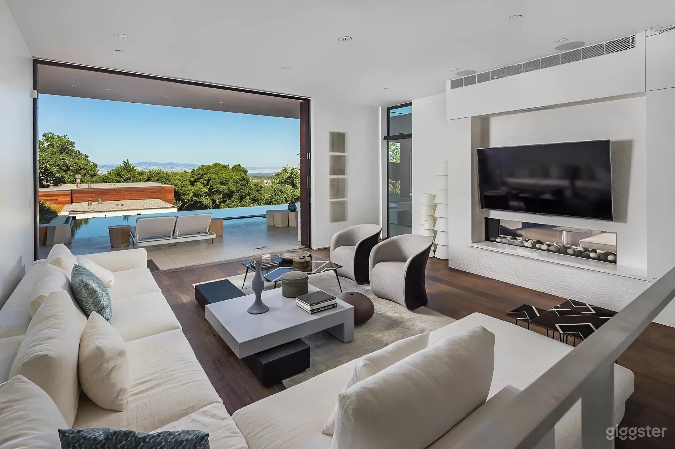 STUNNING MODERN SILICON VALLEY MANSION Photo 4