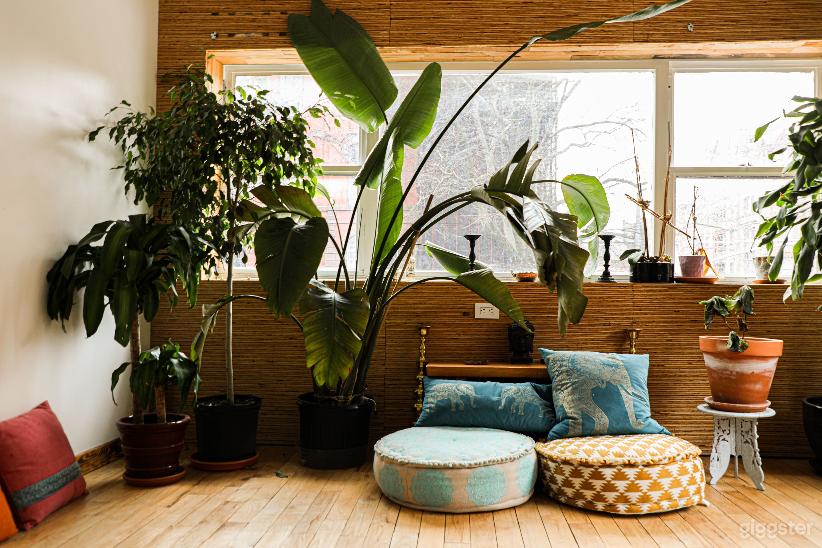 Well Designed Earthy, Green Space w/Natural Light Photo 4