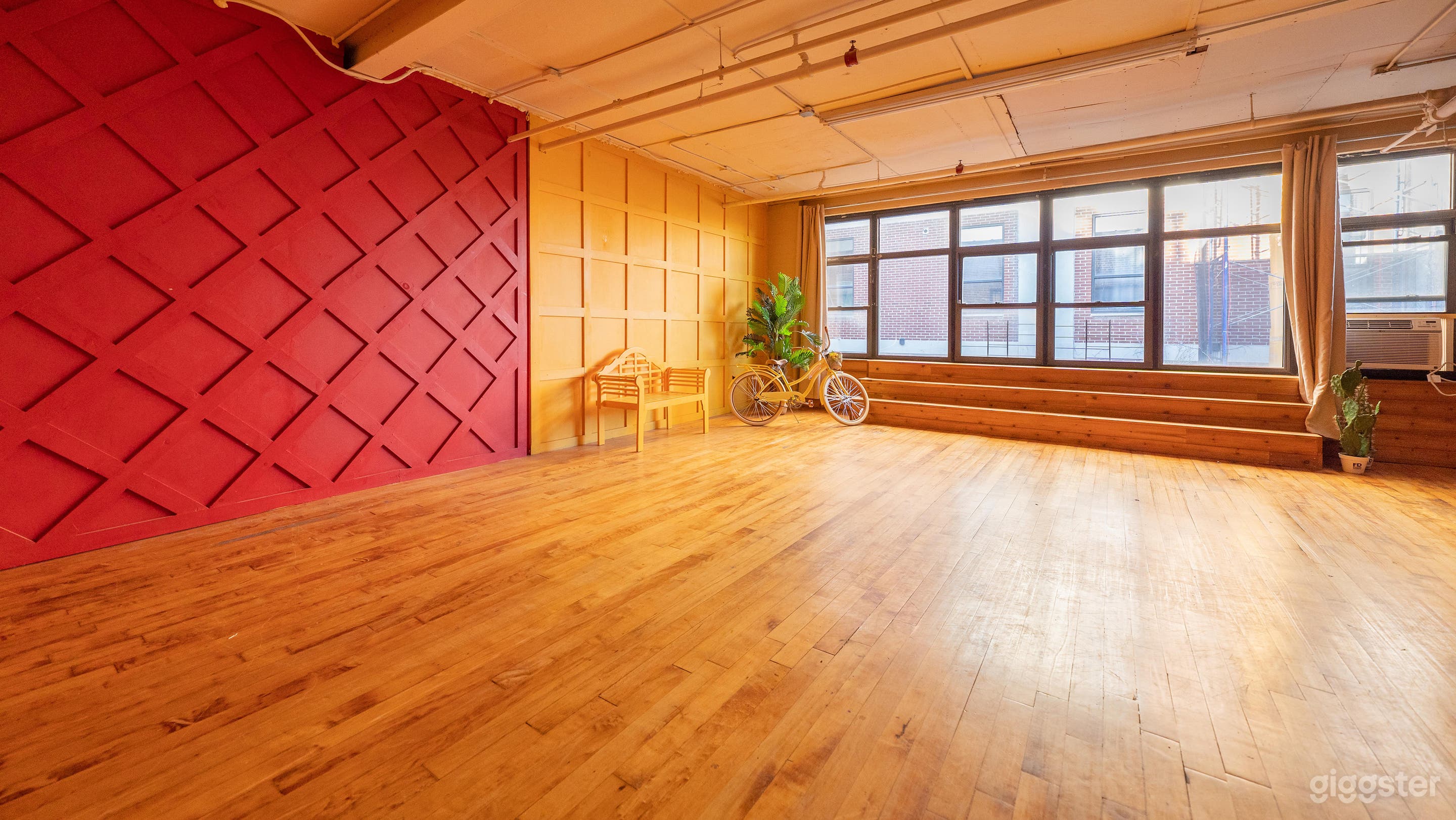 Vibrant Colors Studio in Queens Photo 2