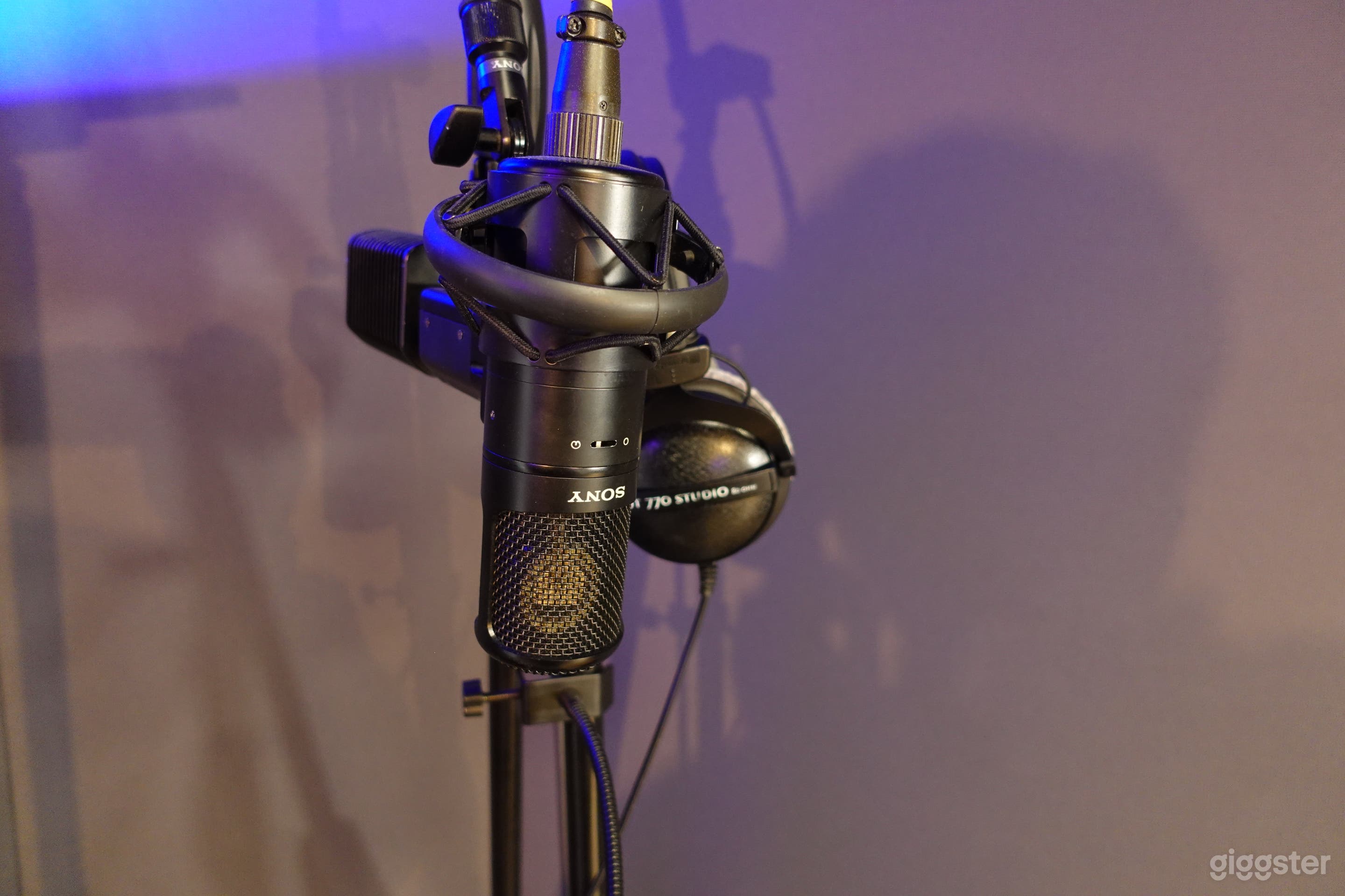 The Sony C-800G is one of the Mics we offer and is an industry standard for modern vocal recordings