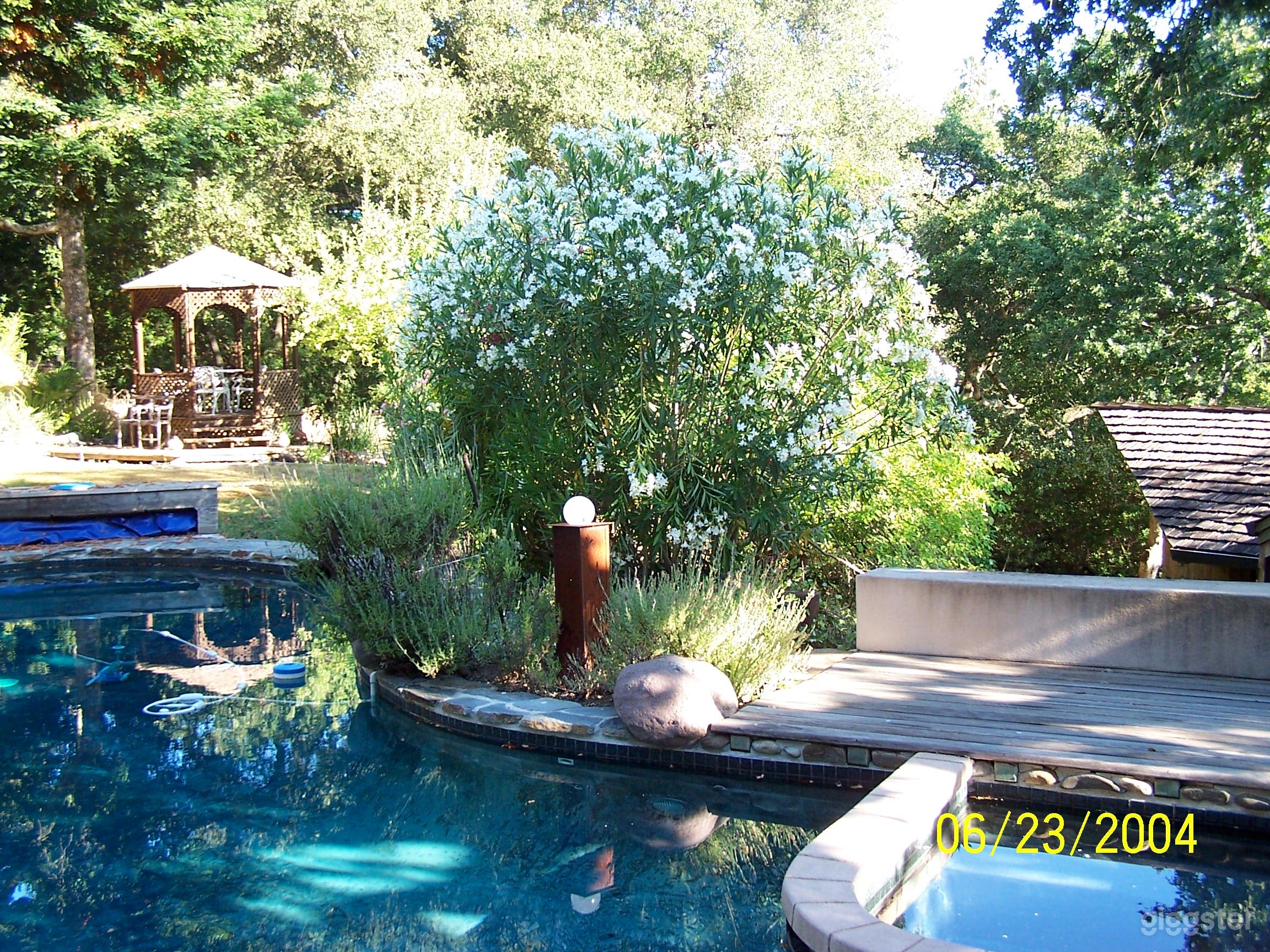 East Bay Treehouse Retreat 55-Minutes To SF Photo 4