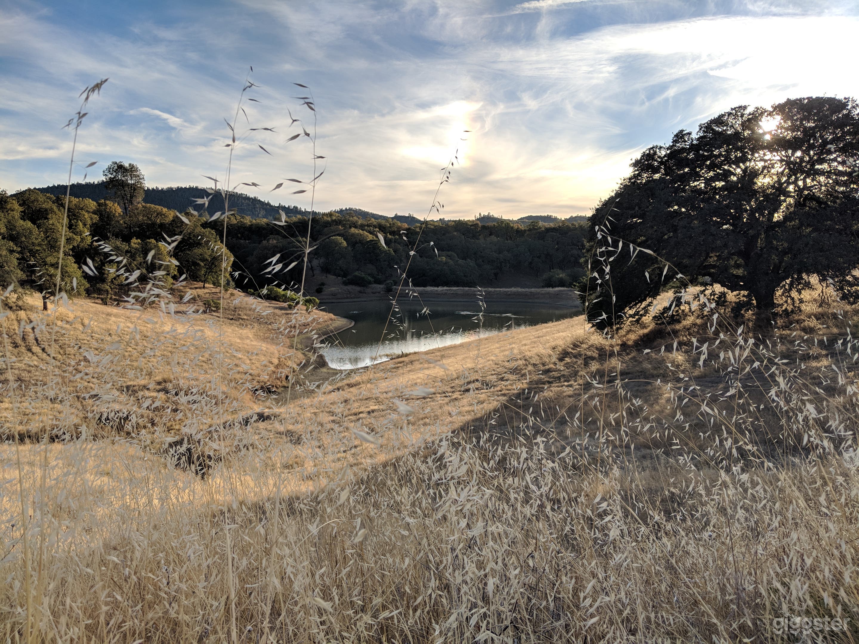 150 Acre Ranch + small lake and friendly Alpacas! Photo 2