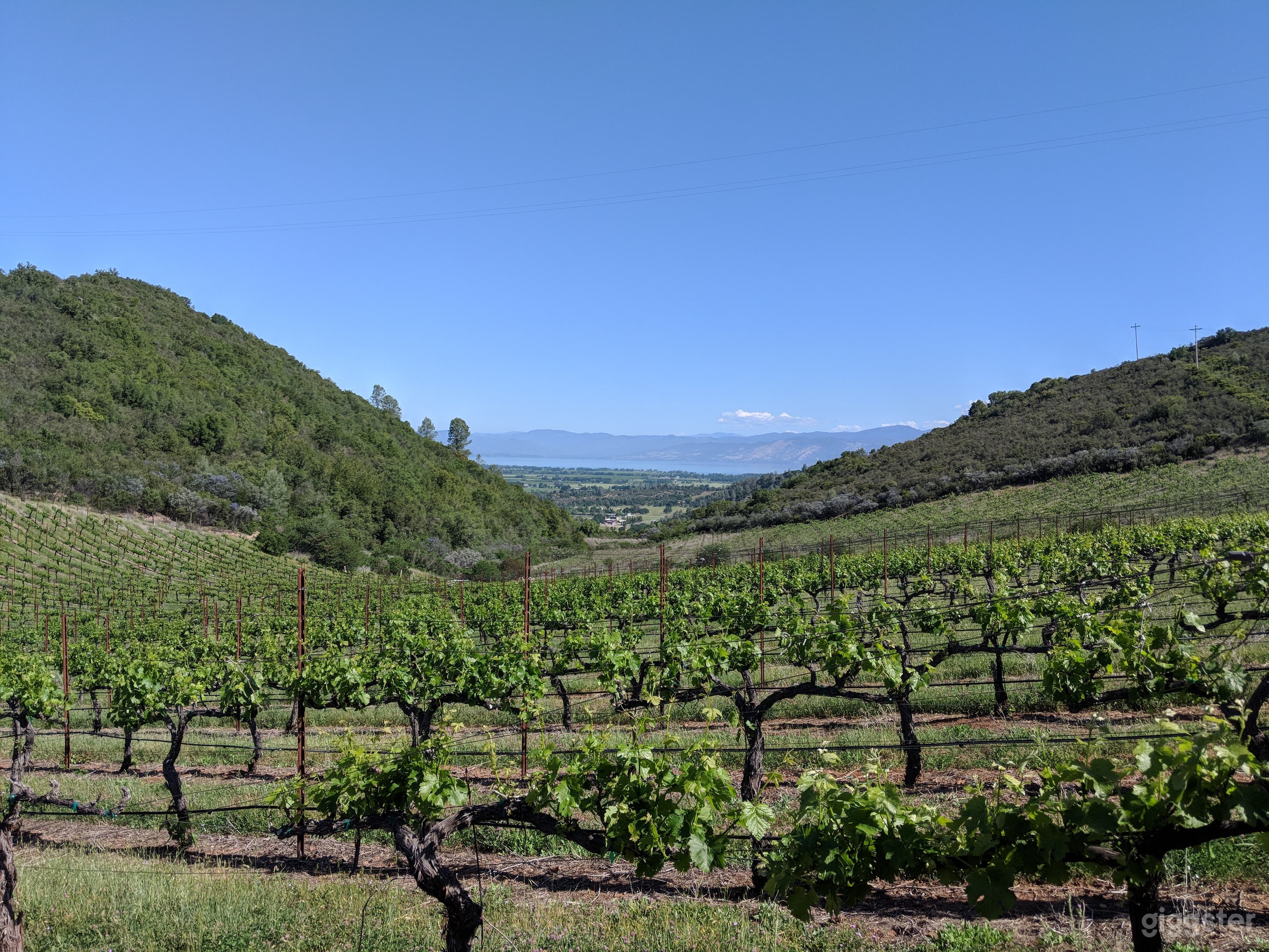 150 Acre Ranch + small lake and friendly Alpacas! Photo 4