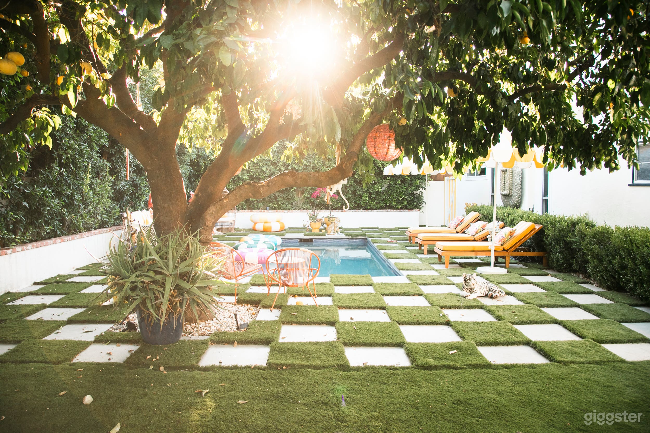 Casa Cleopatra: Colorful Jungle Inspired Haven Photo 2