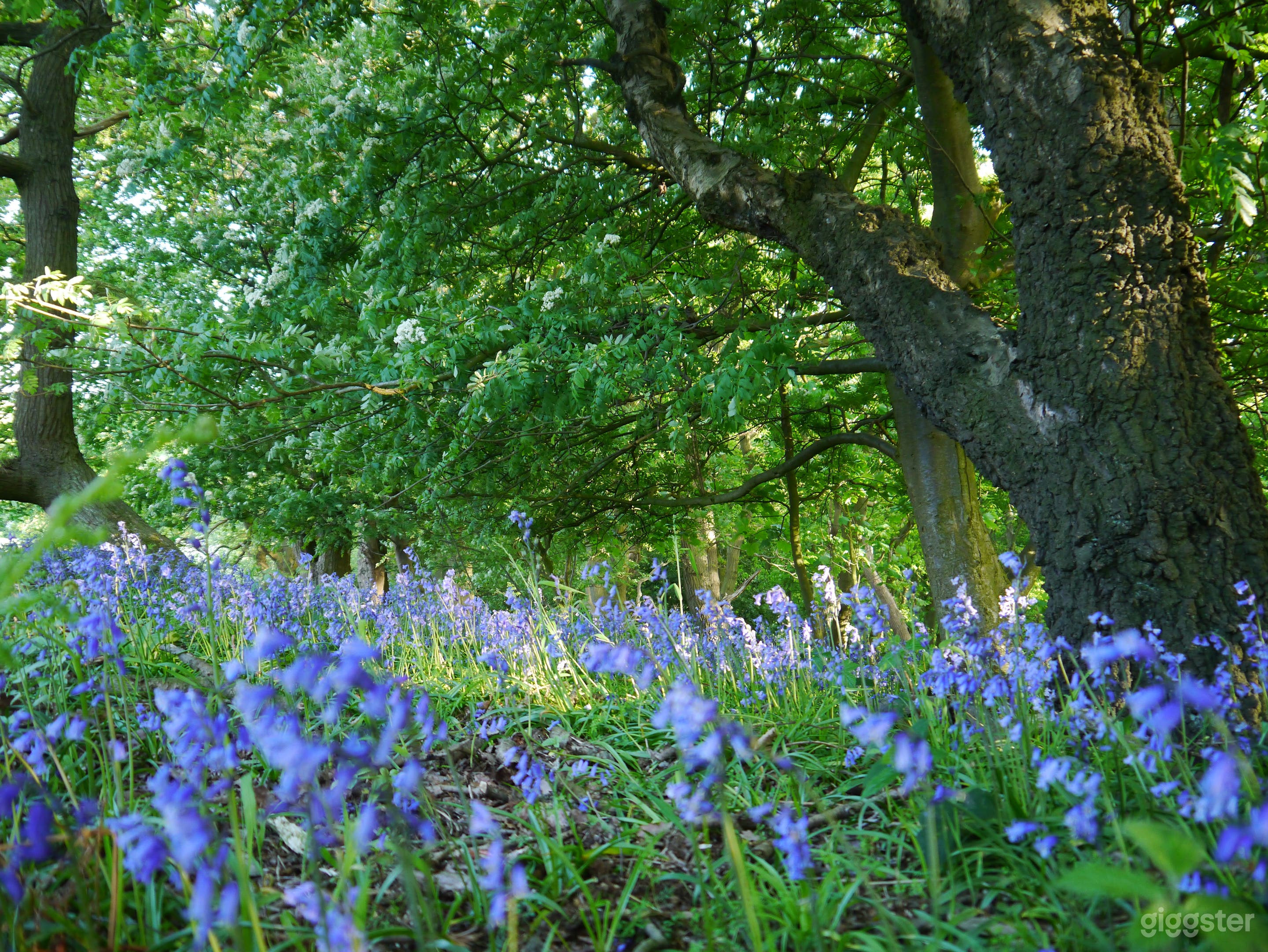 Riding Farm Cottages Photo 2