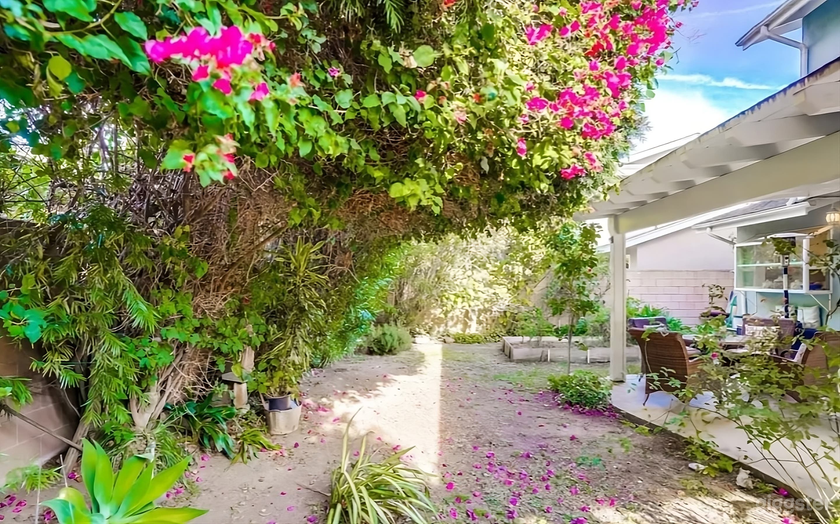 Bougainvillea Adorned Backyard Patio Photo 2