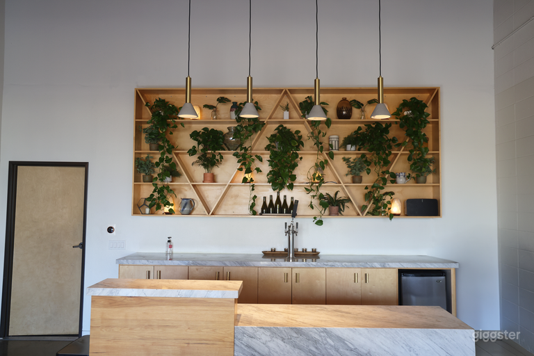  Earthy Mid Century Modern Showroom 