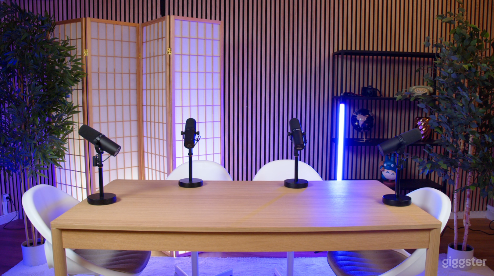 Photo de Video Studio For Podcast/Webinar/Interview/Livestream 3