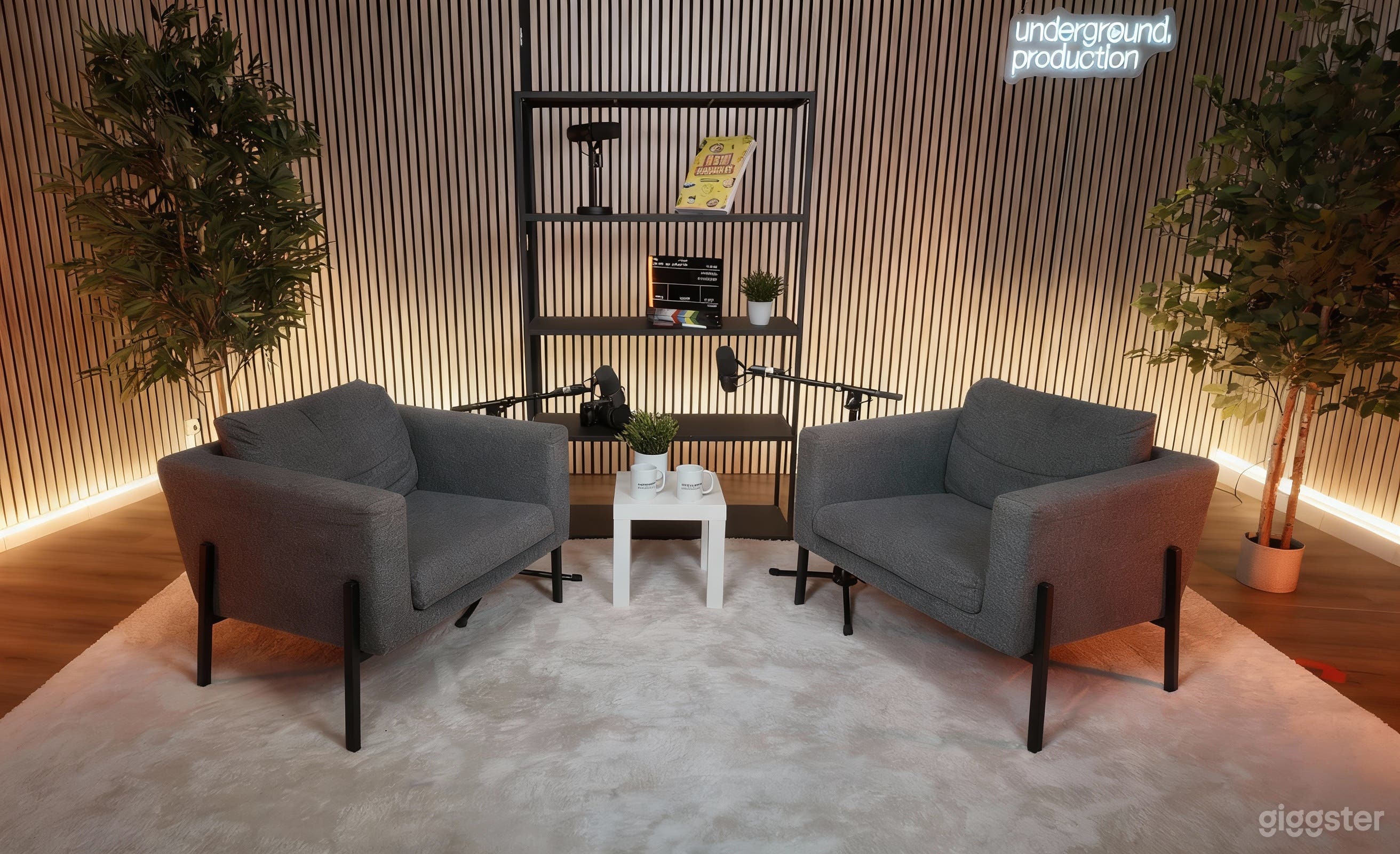Photo de Video Studio For Podcast/Webinar/Interview/Livestream 4