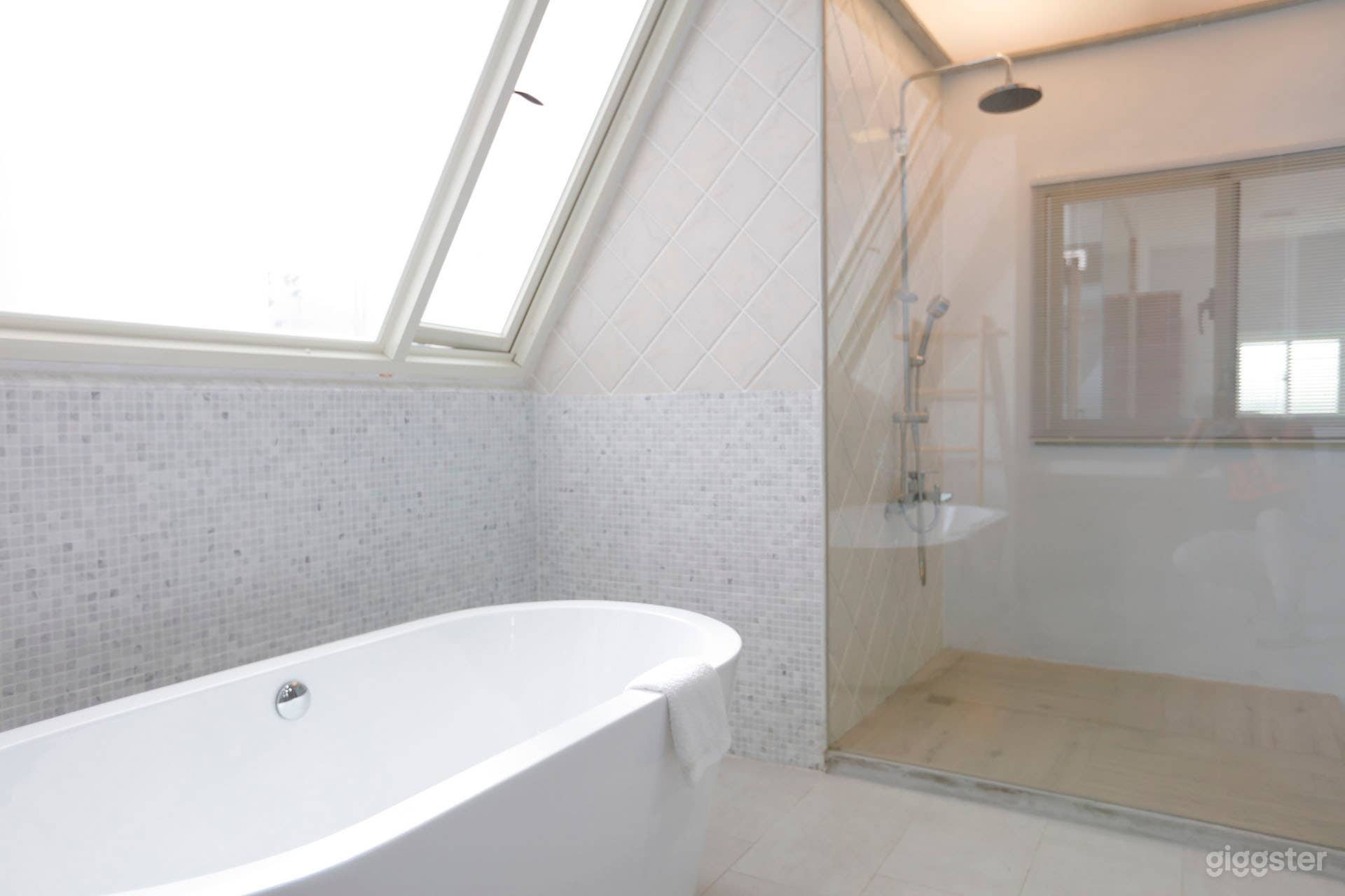 Large Bathroom Scene Photo 2