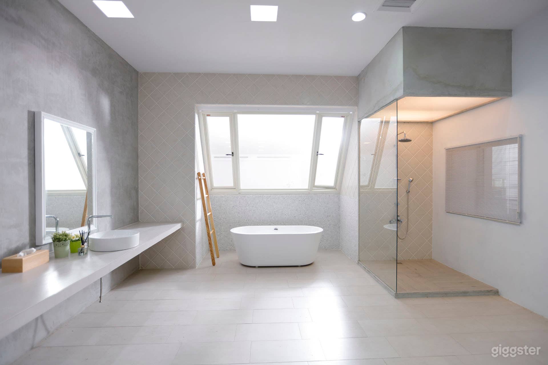 Large Bathroom Scene Photo 1