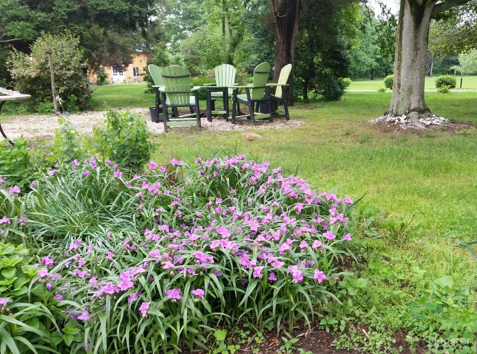 Heritage Working Farm Photo 3