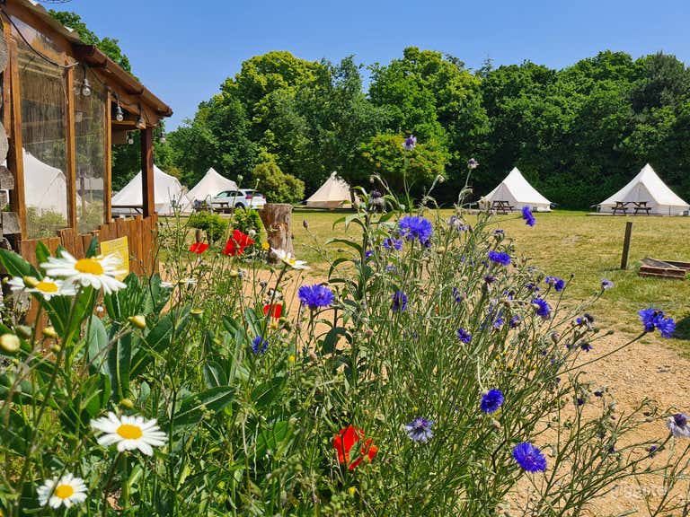  Bohemian Glamping Site at Southhampton 