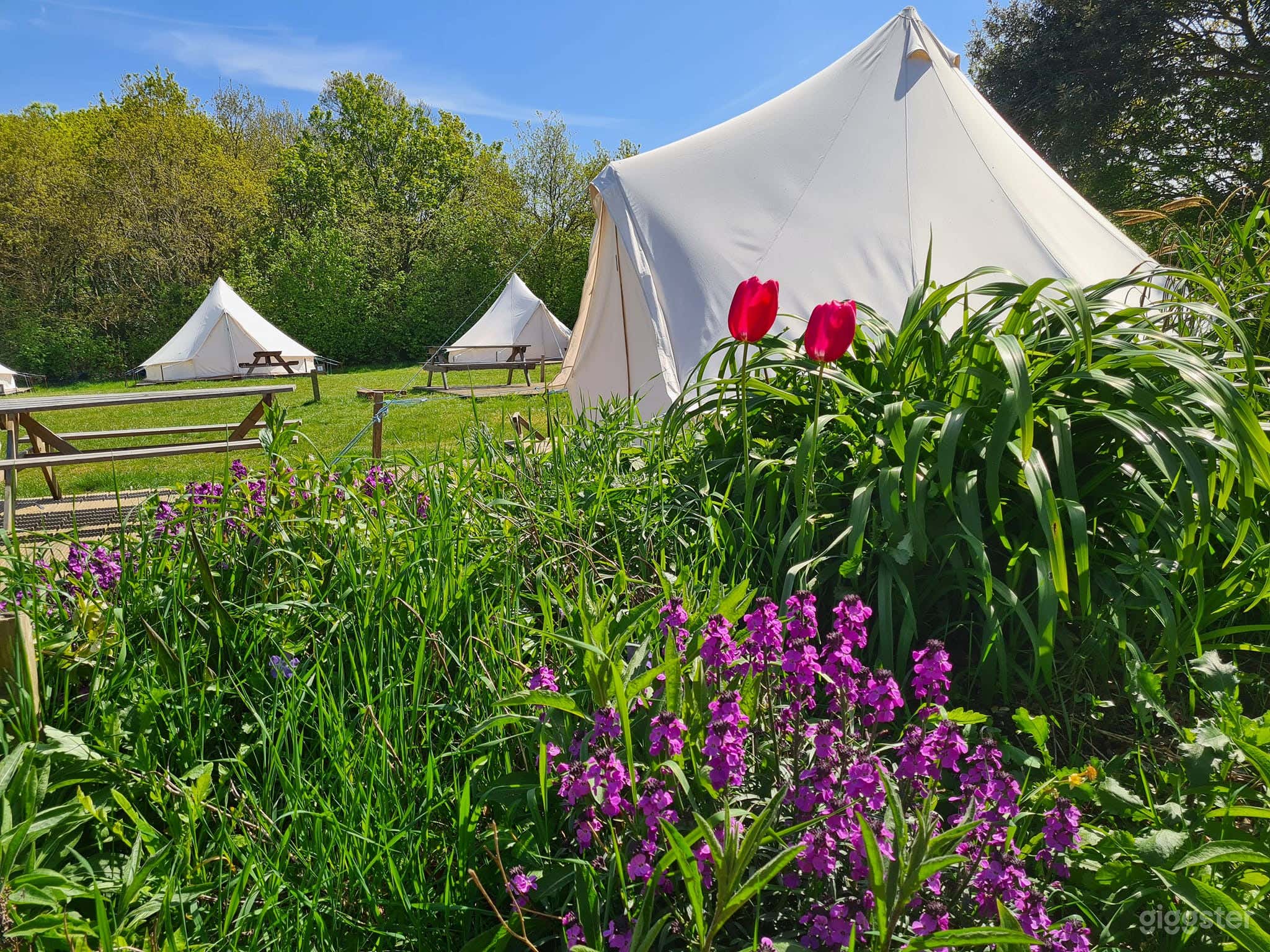 Bohemian Glamping Site at Southhampton Photo 4