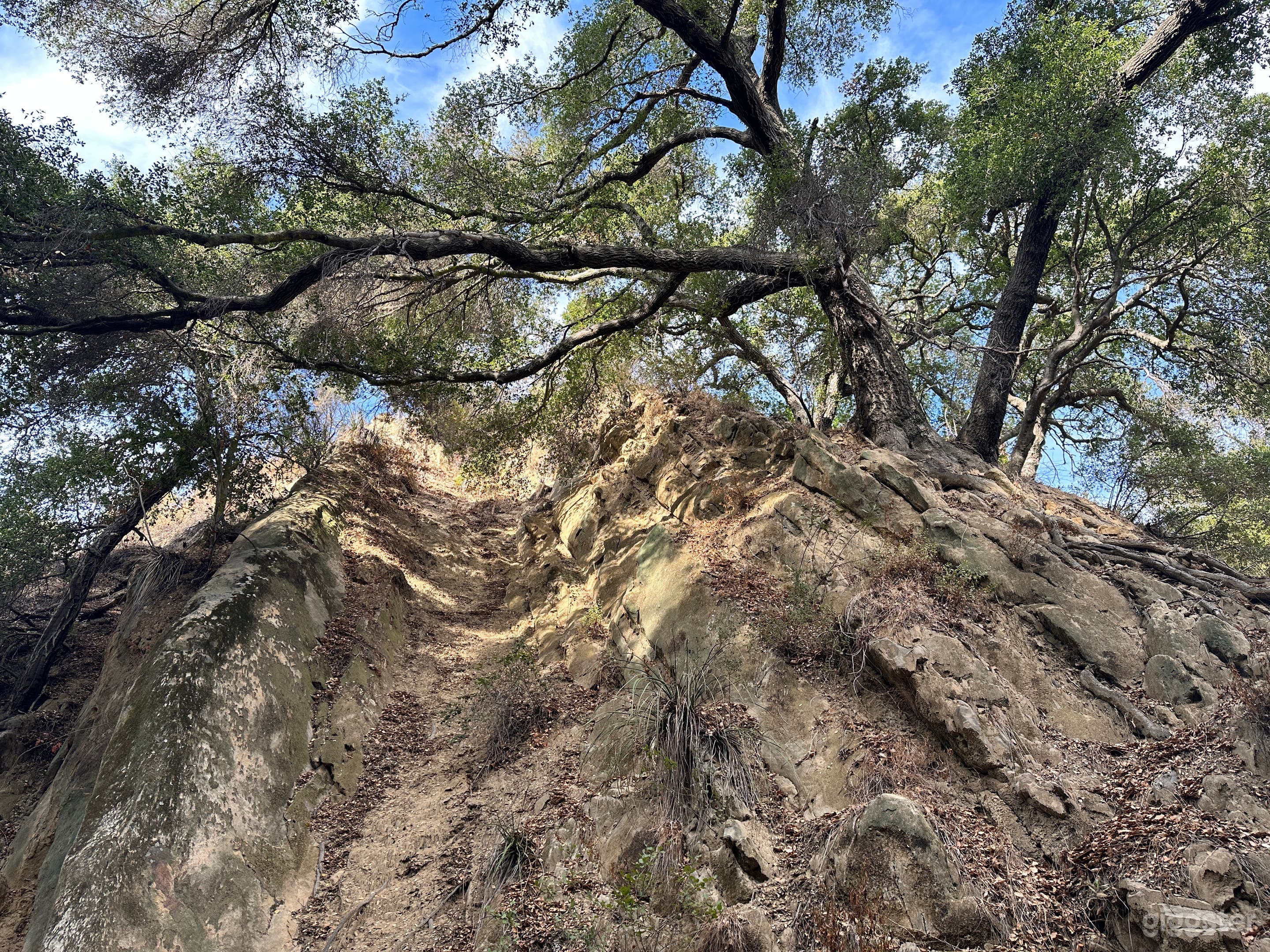 Malibu Creek Orchard retreat Photo 3