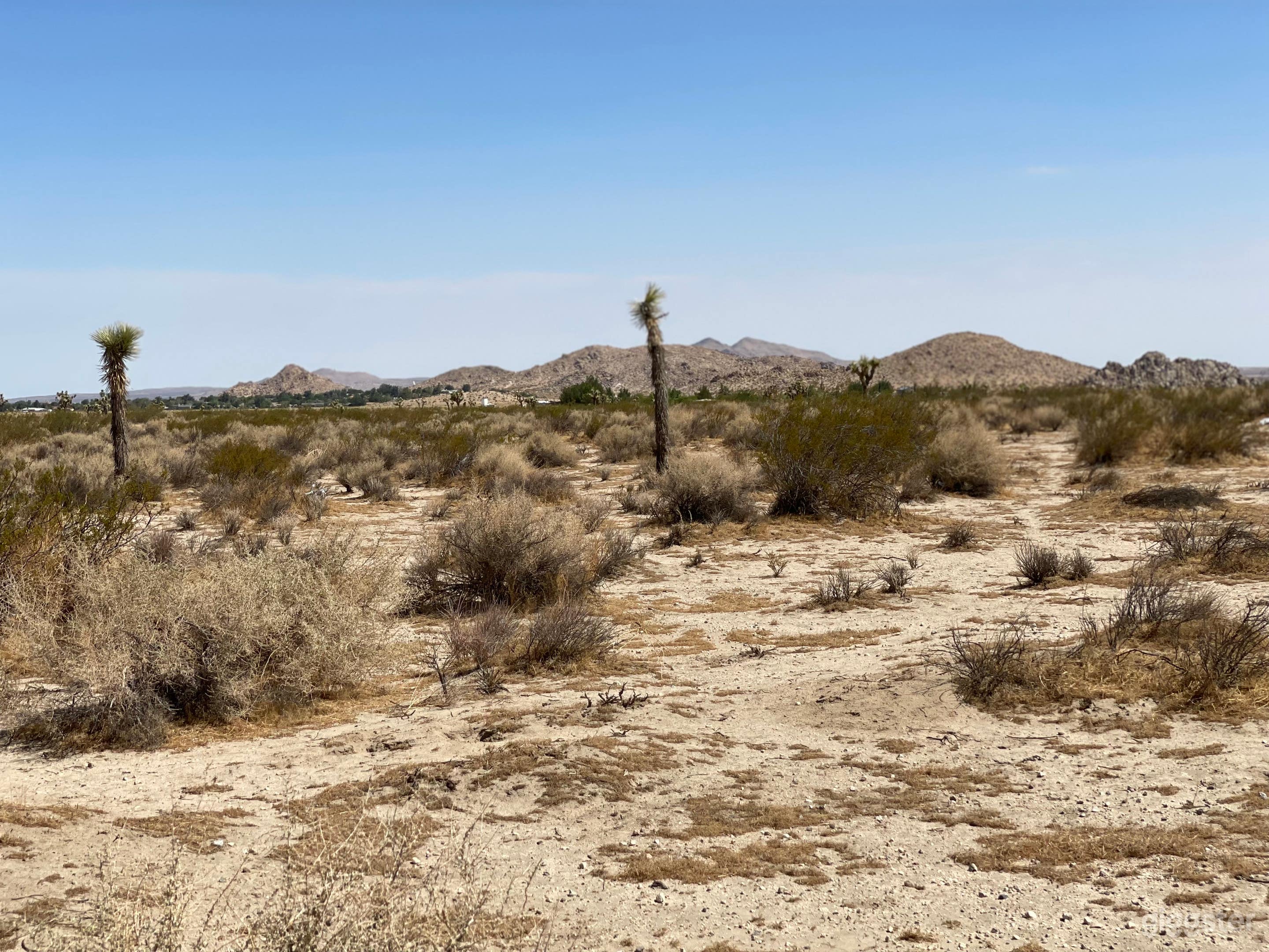 Open Desert Location! Photo 1