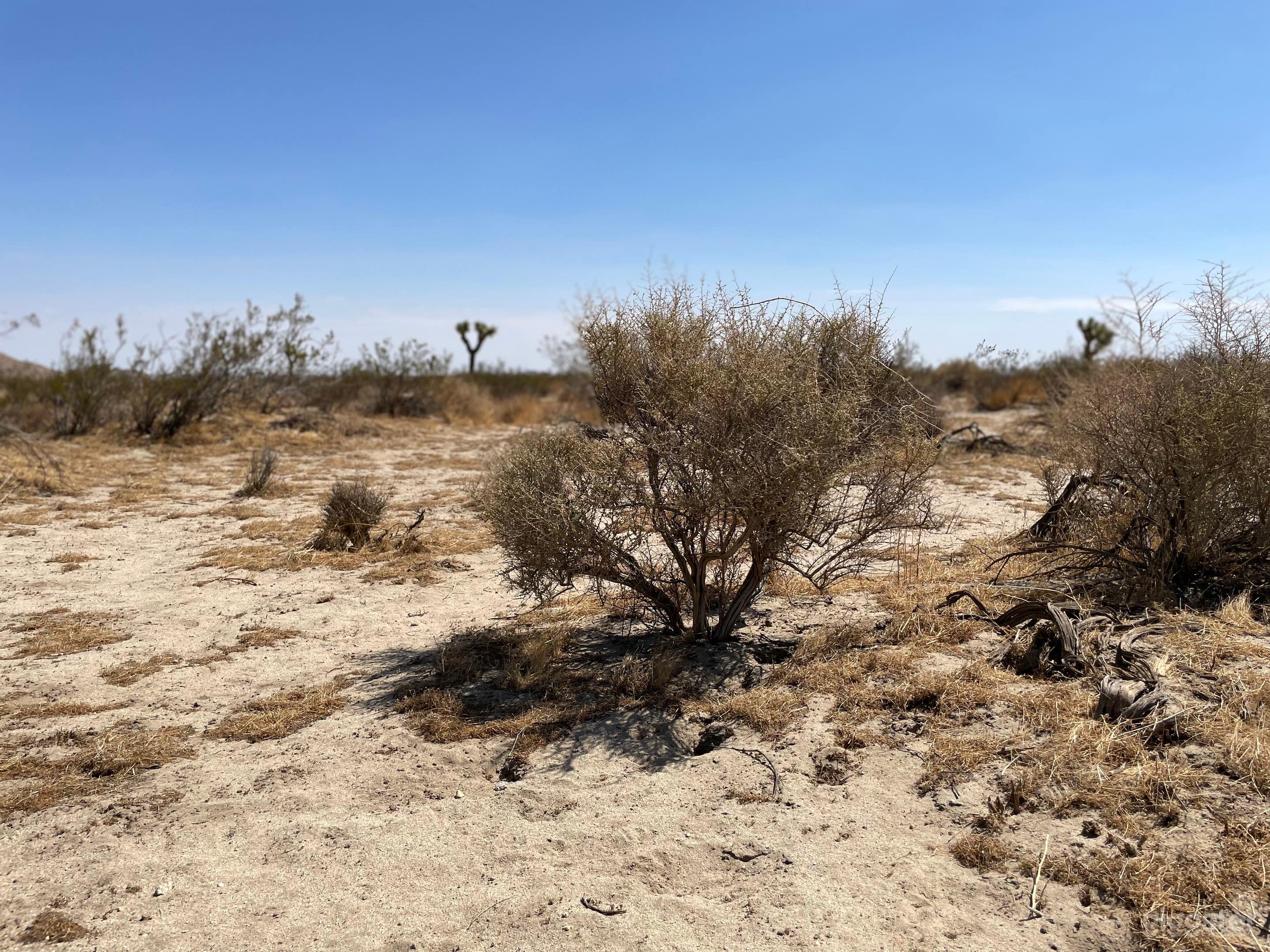 Open Desert Location! Photo 4