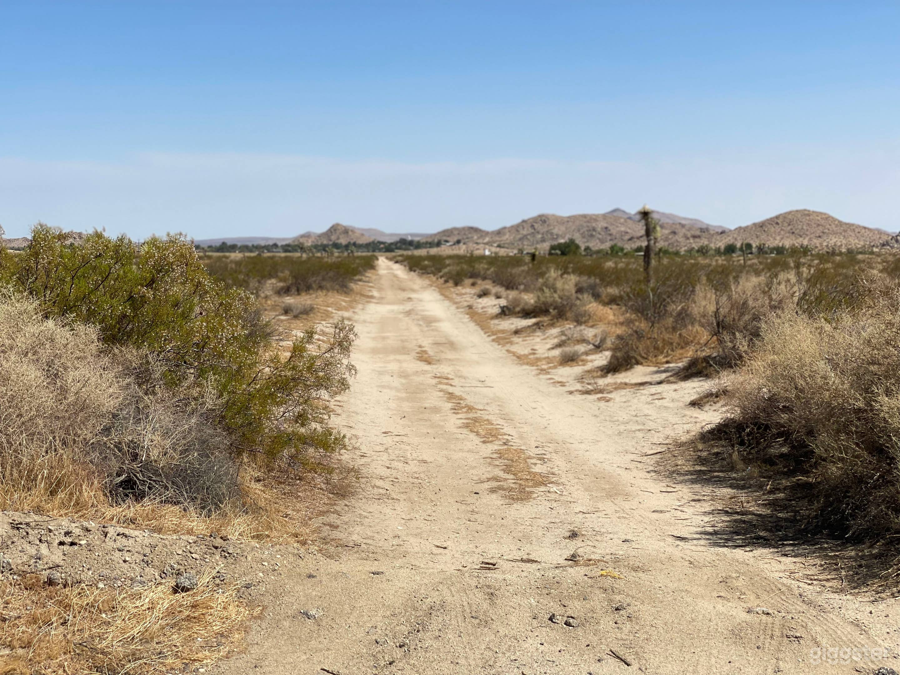 Open Desert Location! Photo 2