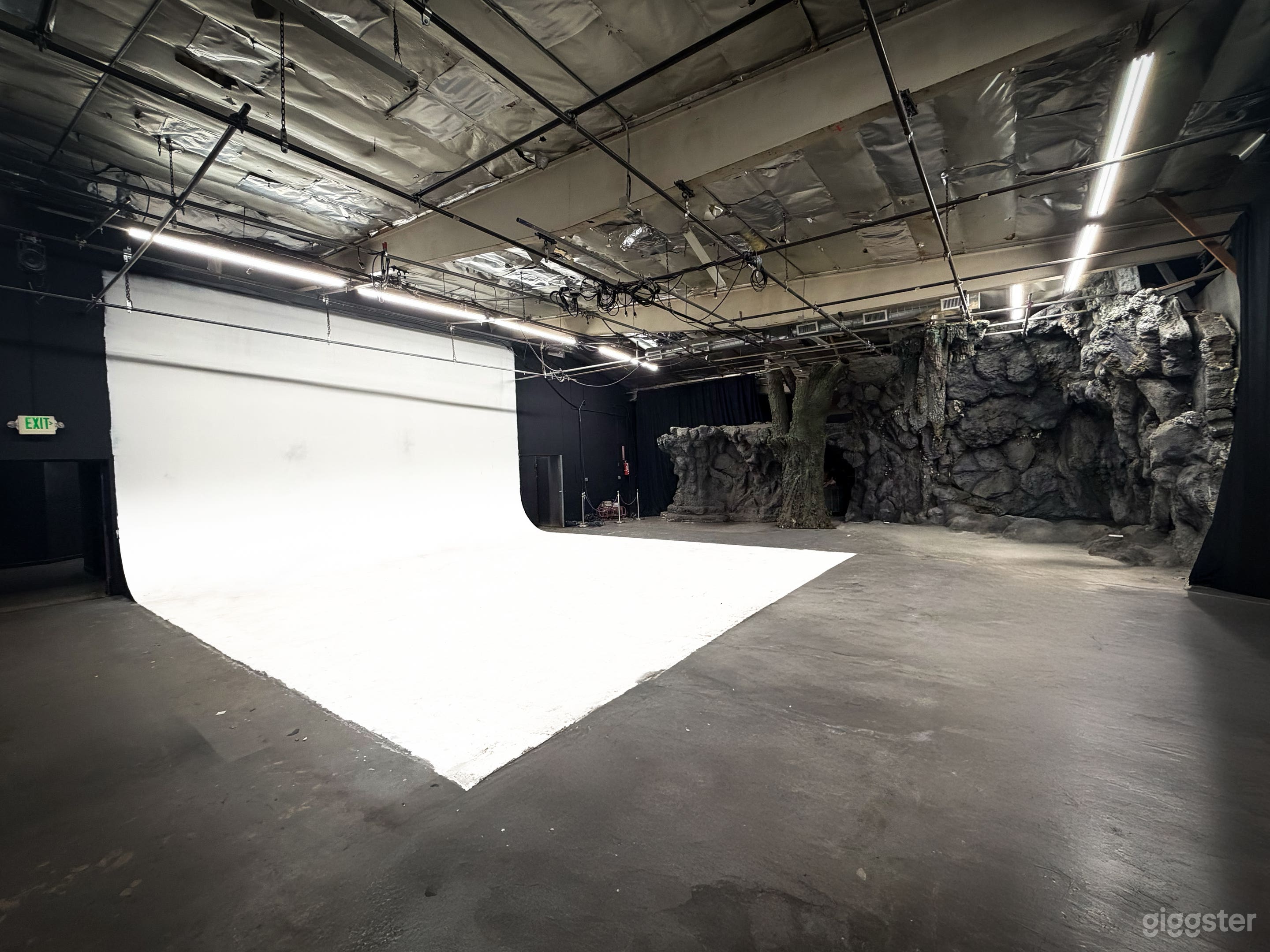 6K sq/ft of Sci Fi, Fantasy, and Horror Photo 4
