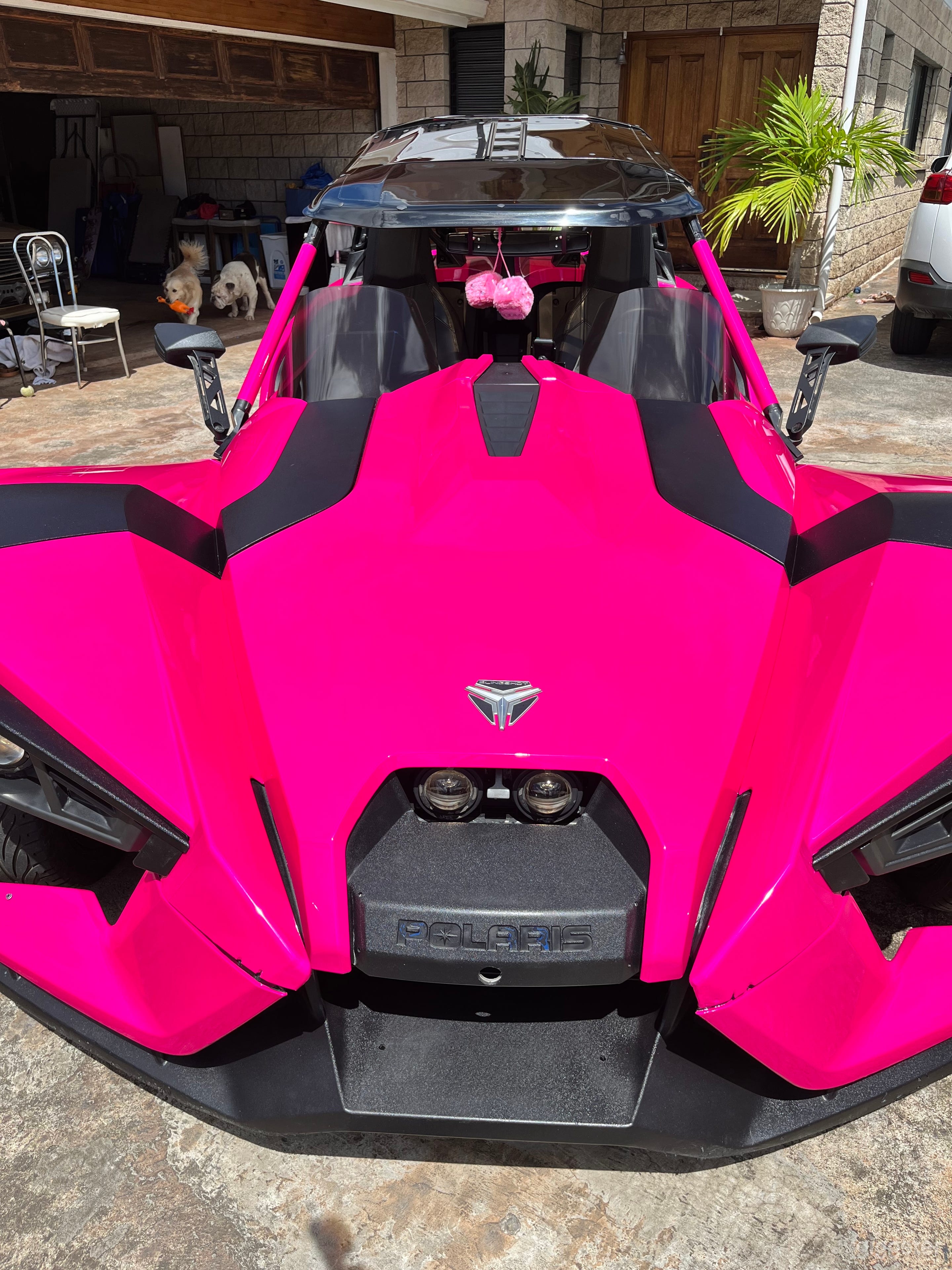 Pink Polaris Slingshot Photo 3