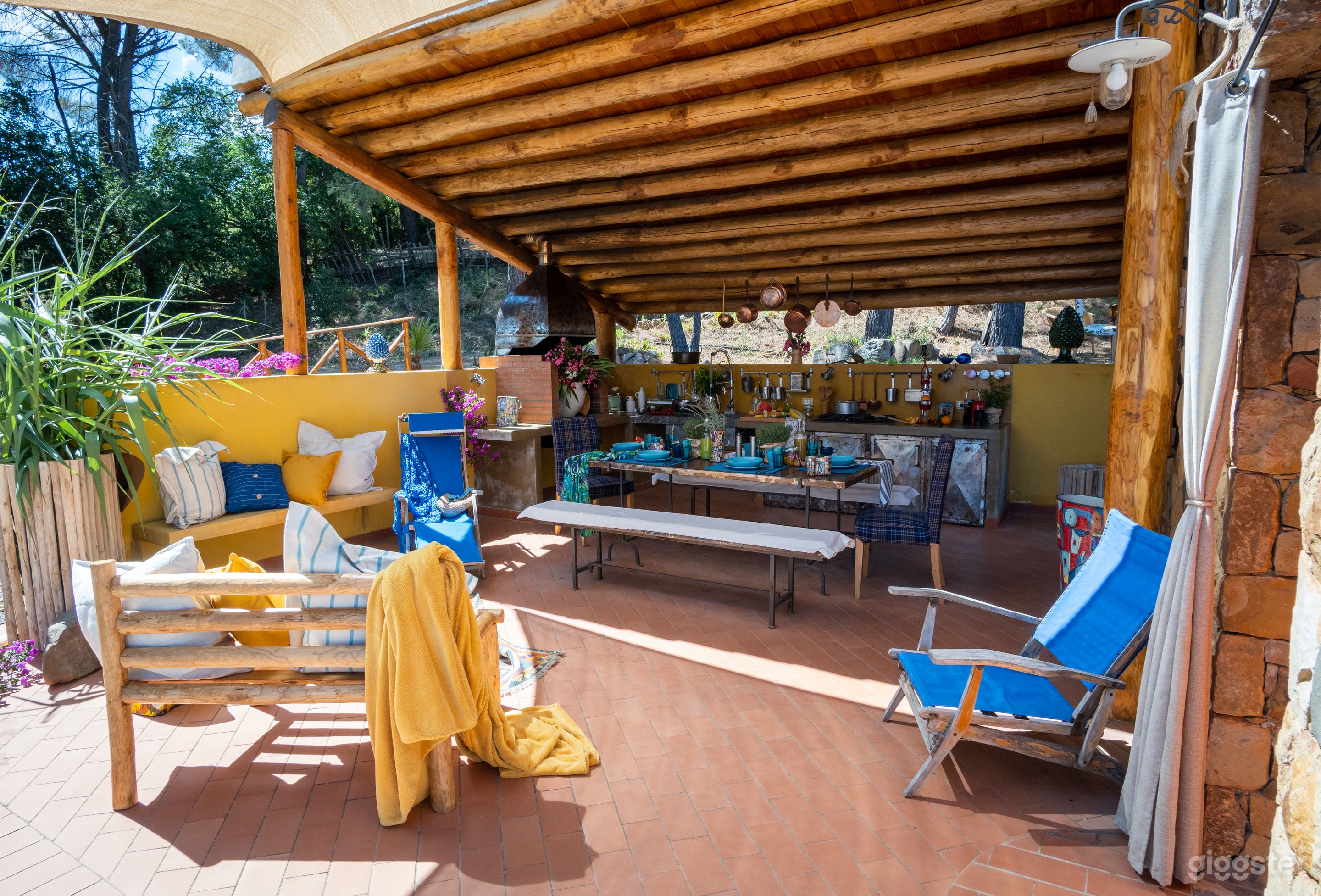 Foto di Paradiso nella Riserva Forestale Pine Ridge 4