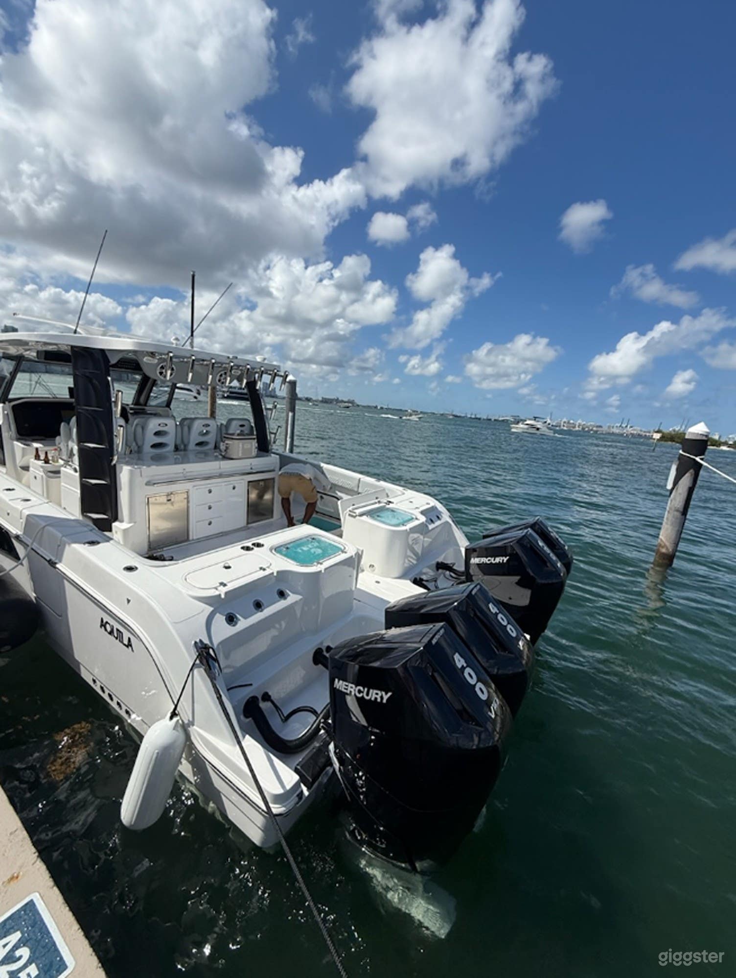 Aquila 47ft 2026 Luxury Power Catamaran Photo 3