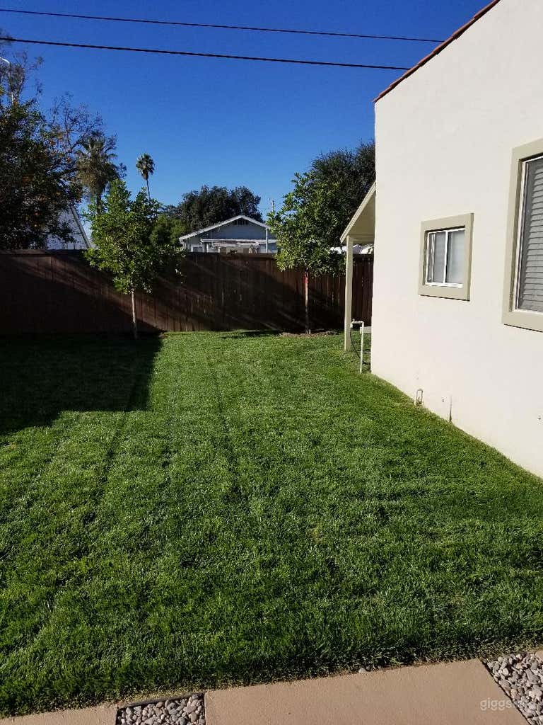  Backyard/side of guesthouse 