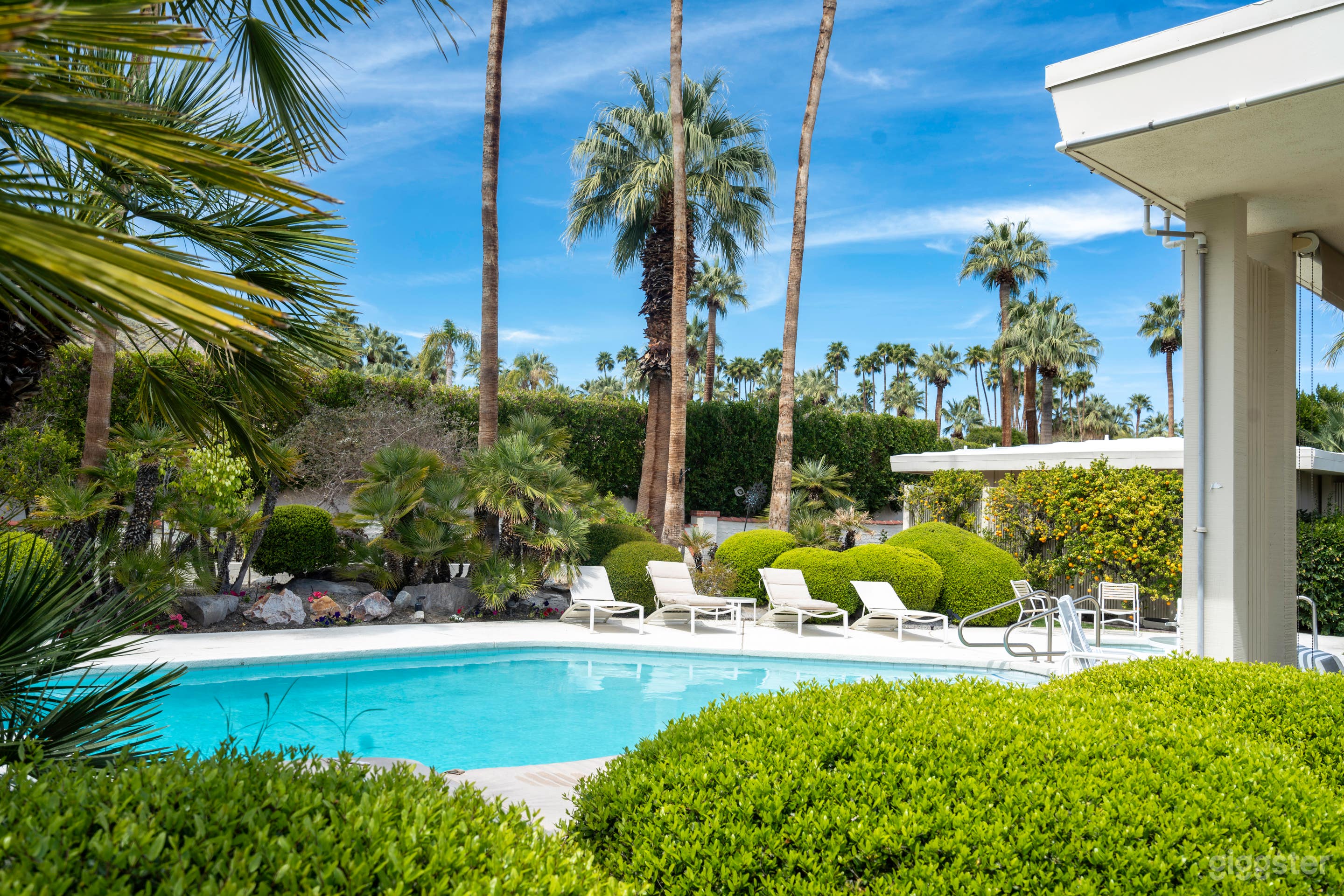 Palm Springs Oasis